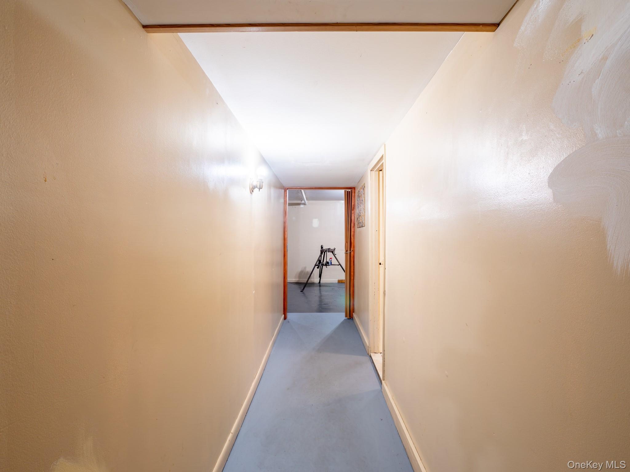 Single Family Mother Gaston Boulevard Brooklyn, NY 11212, MLS-1020098-44