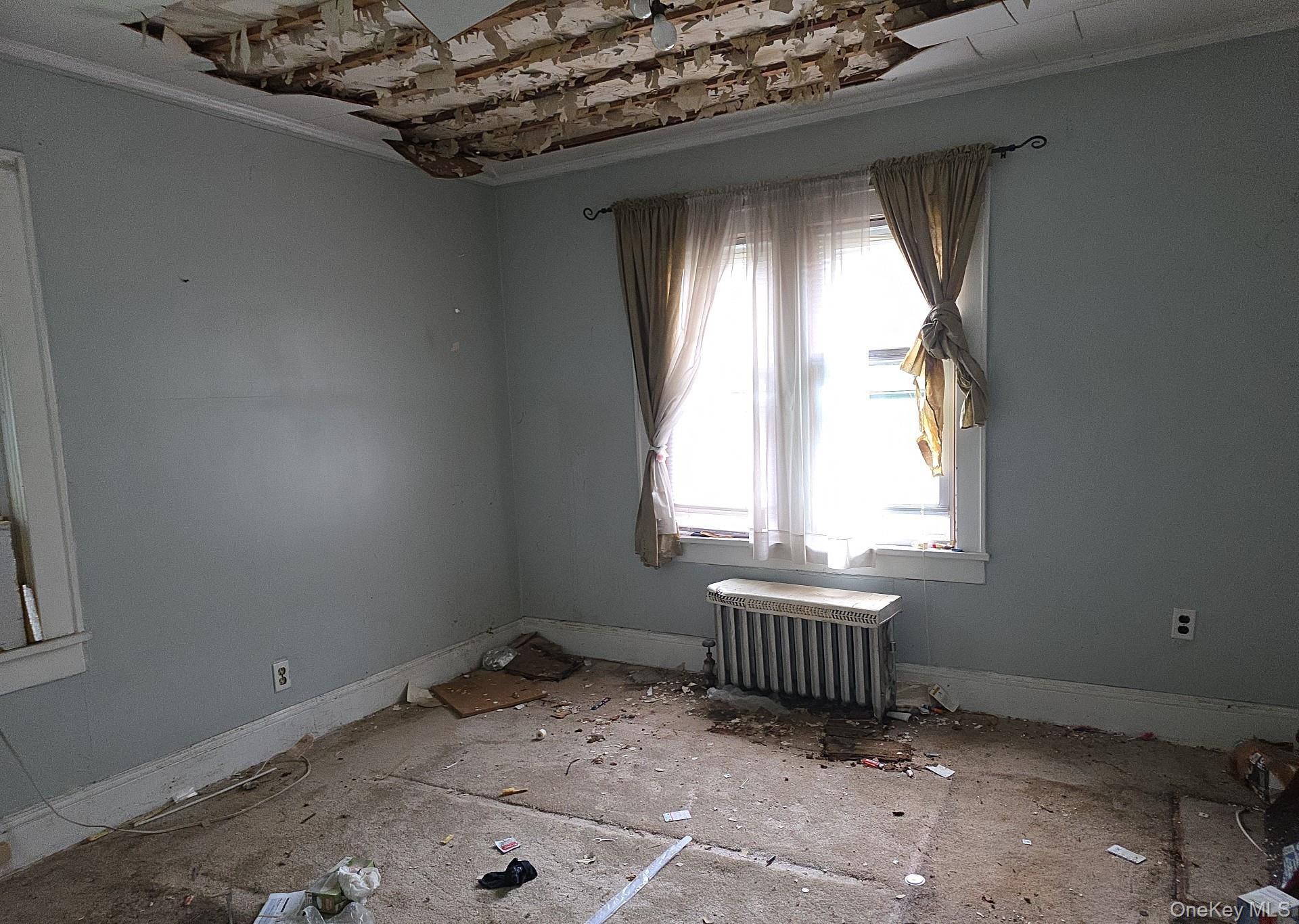 Single Family Browning Street Nassau County, NY 11510, MLS-1020115-10