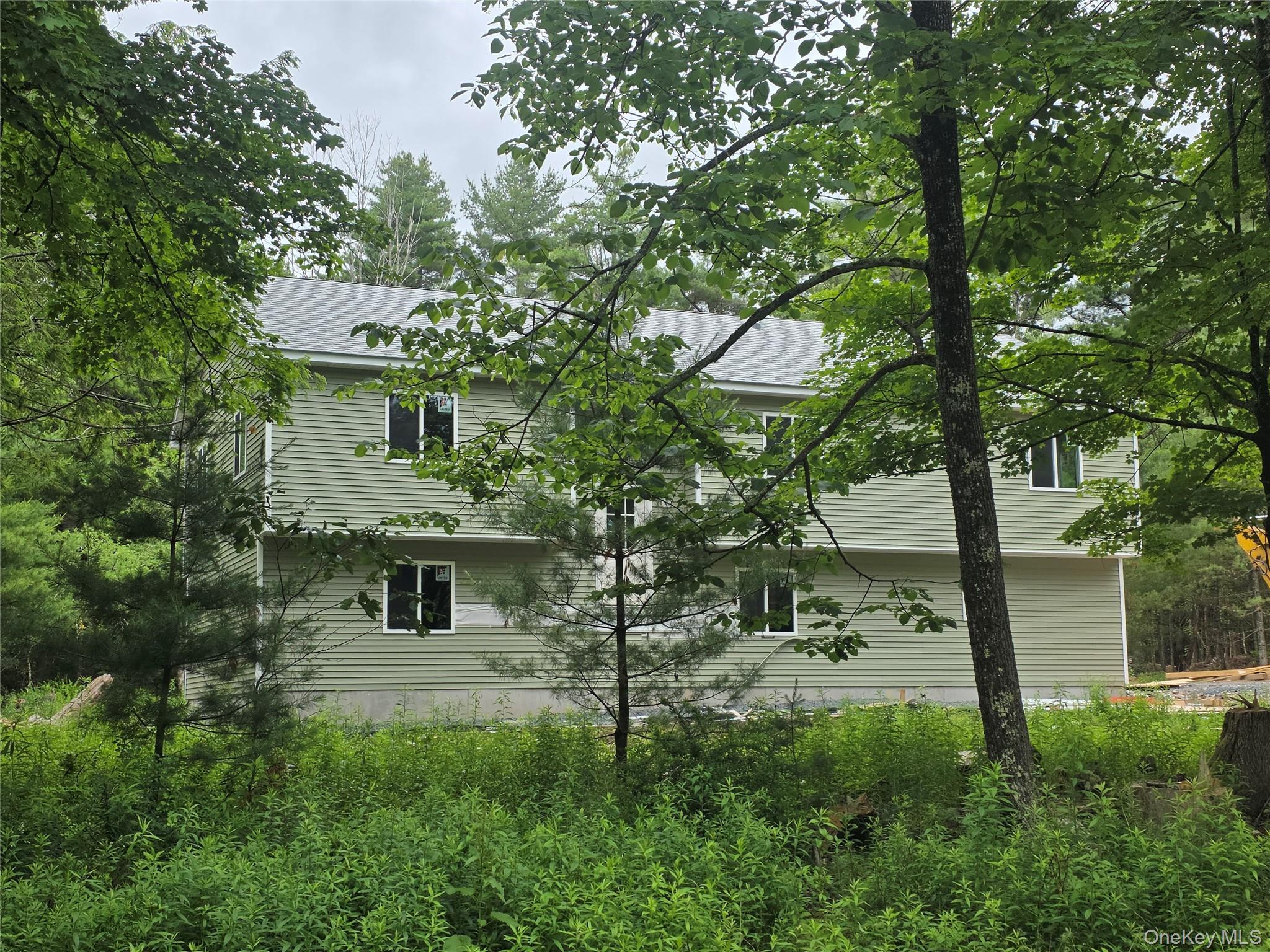 Single Family Rock Ridge Drive  Sullivan County, NY 12701, MLS-1020142-3