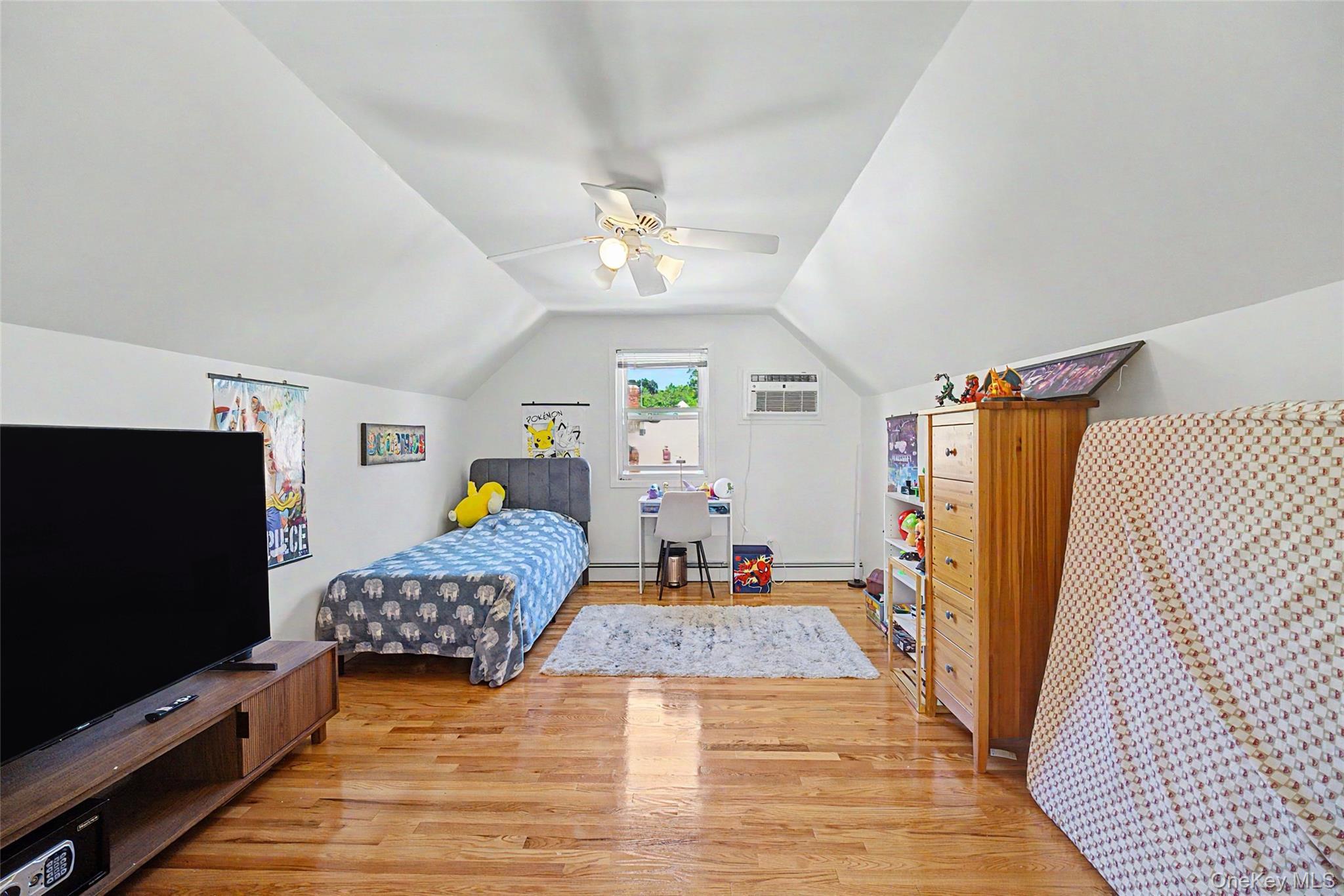 Single Family Elton Road Nassau County, NY 11530, MLS-1020154-12
