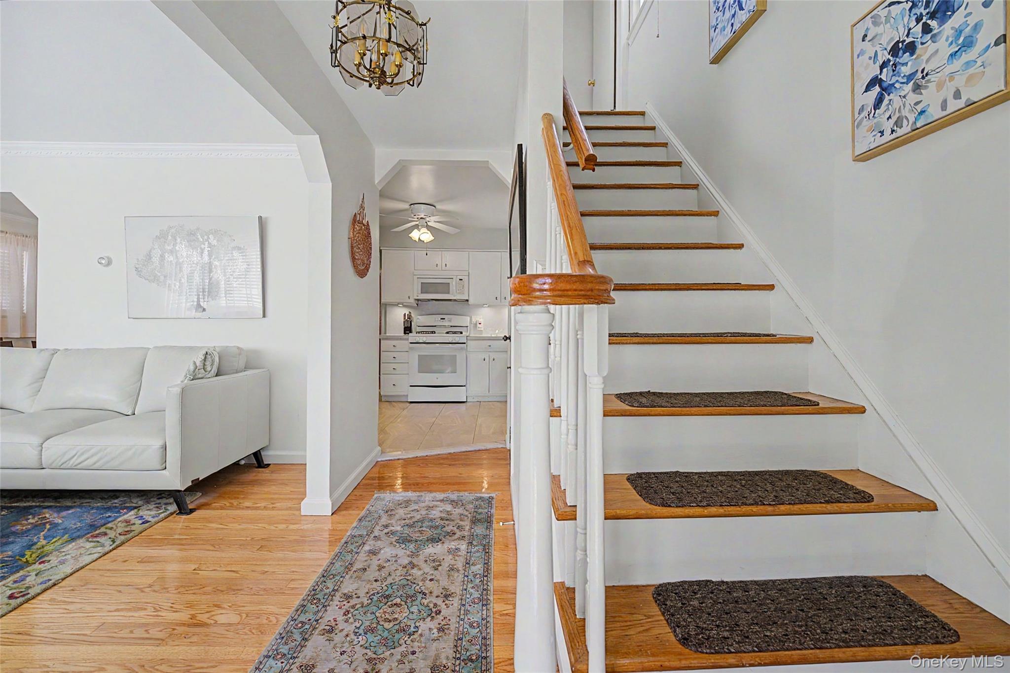 Single Family Elton Road Nassau County, NY 11530, MLS-1020154-4