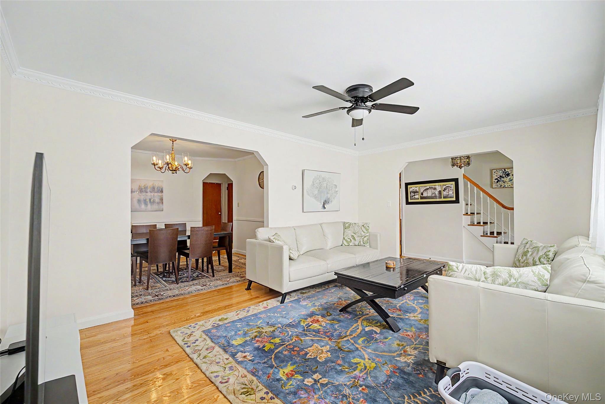 Single Family Elton Road Nassau County, NY 11530, MLS-1020154-6
