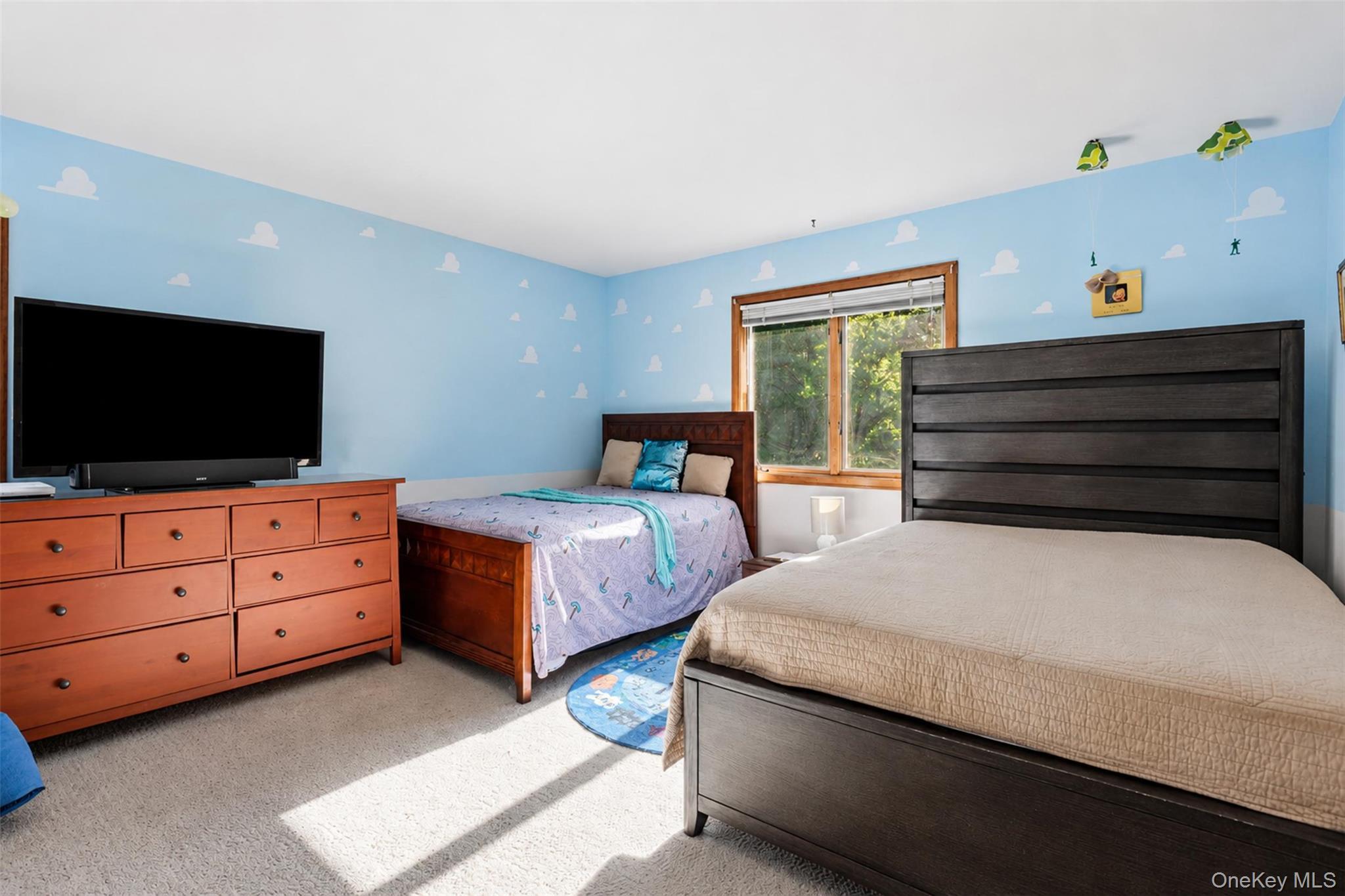 Single Family Craigville Road Orange County, NY 10918, MLS-1020165-21