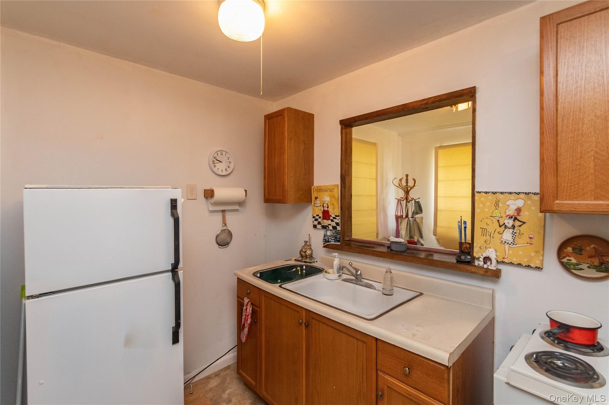 Coop Brodie Road Dutchess County, NY 12533, MLS-1020166-13