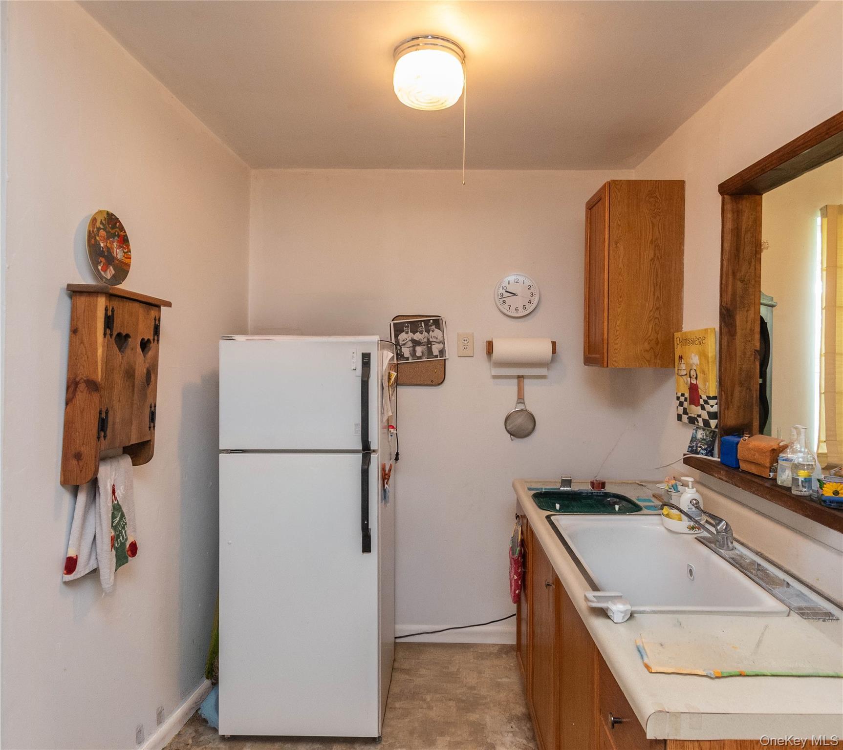 Coop Brodie Road Dutchess County, NY 12533, MLS-1020166-14