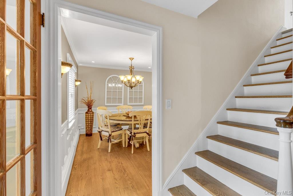 Single Family Stuart Street  Nassau County, NY 11563, MLS-1020259-7