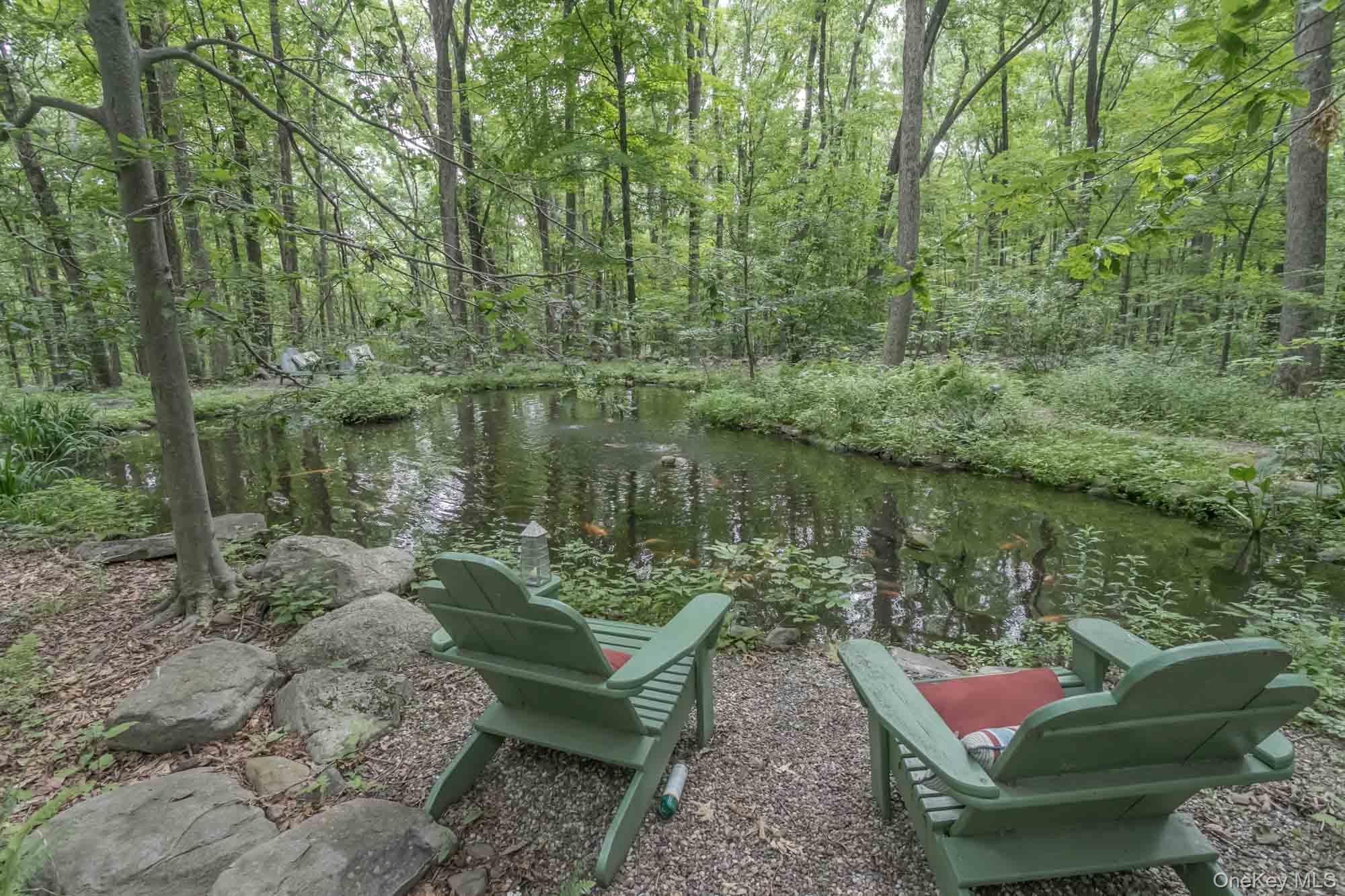 Single Family Cox Drive  Orange County, NY 10990, MLS-1020274-6