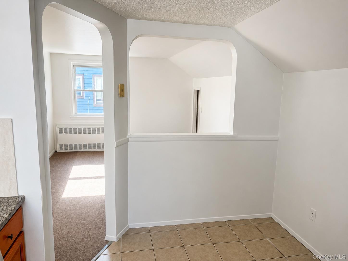 Single Family 145th Avenue Queens, NY 11422, MLS-1020292-10