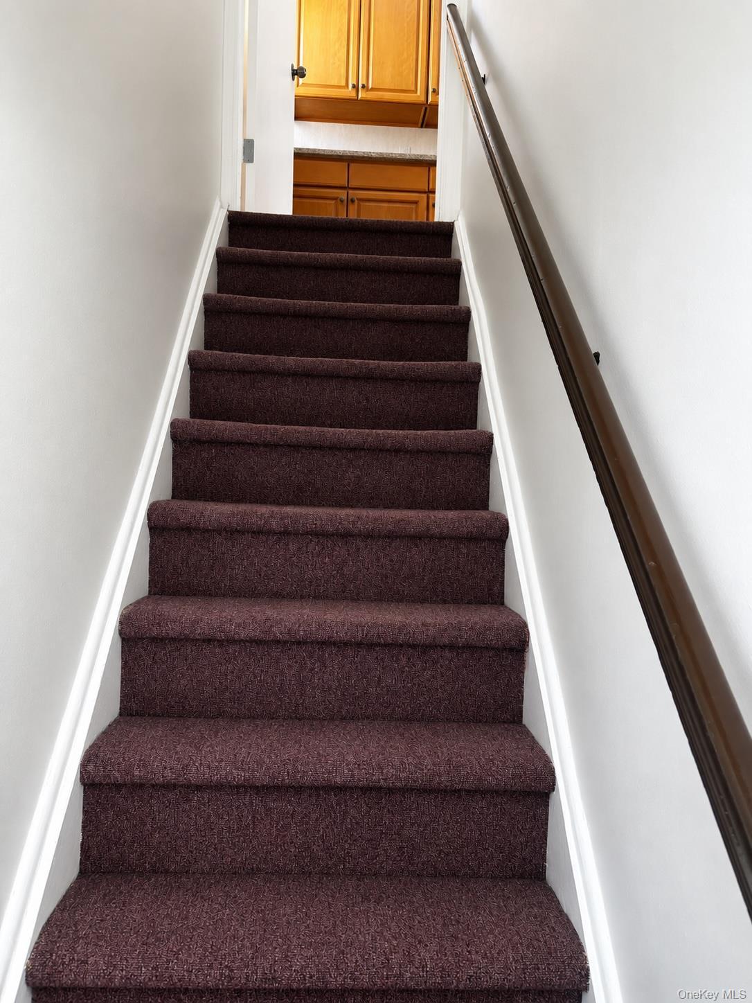 Single Family 145th Avenue Queens, NY 11422, MLS-1020292-17