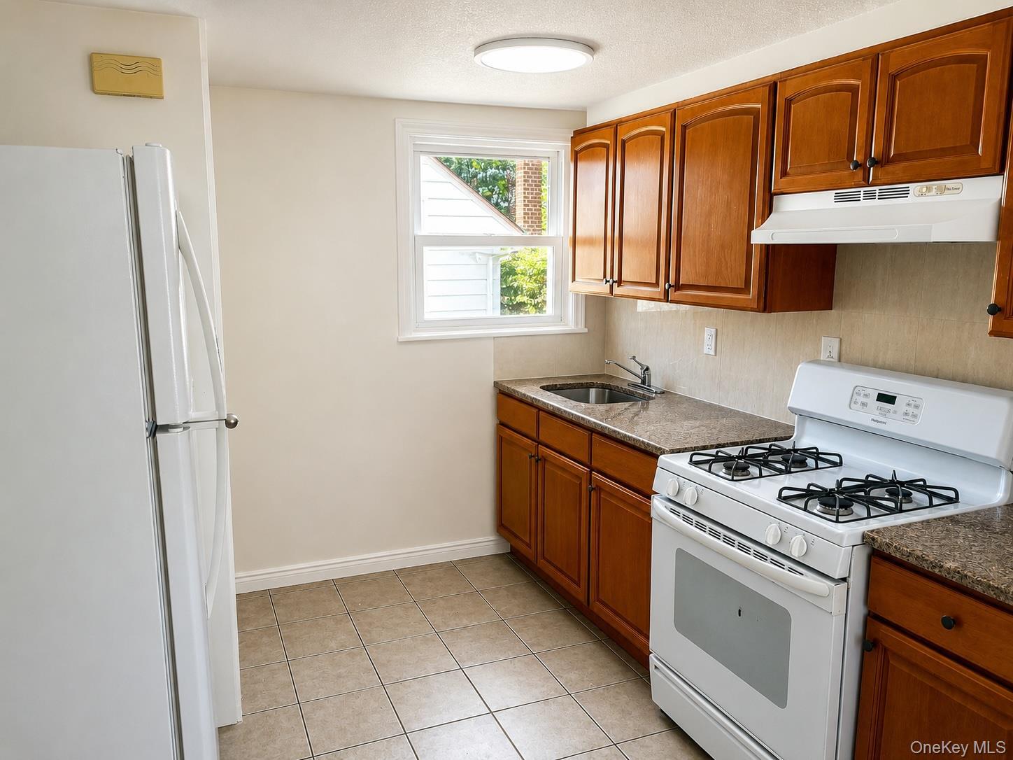 Single Family 145th Avenue Queens, NY 11422, MLS-1020292-9