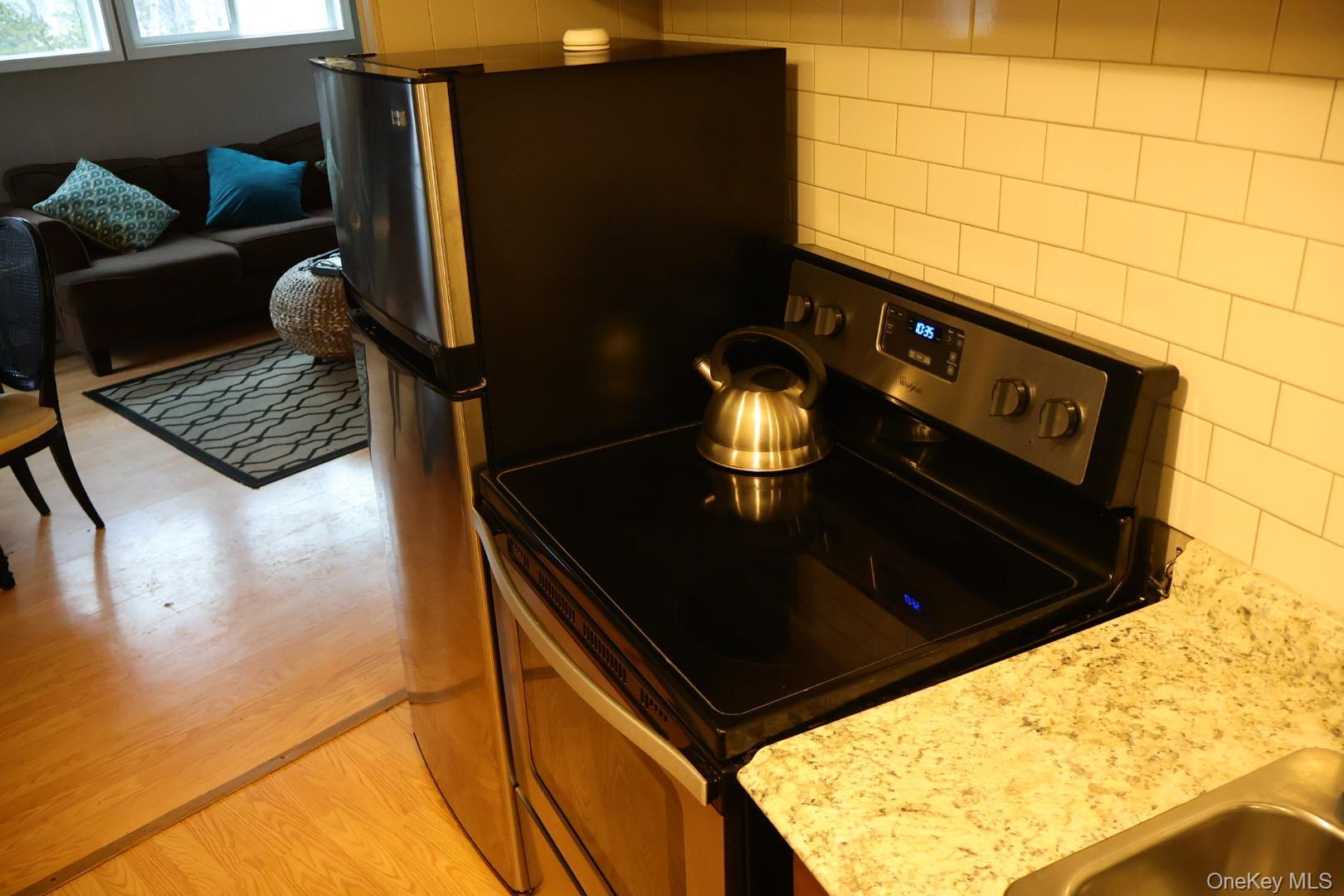 Single Family Albany Street Dutchess County, NY 12601, MLS-1020360-11