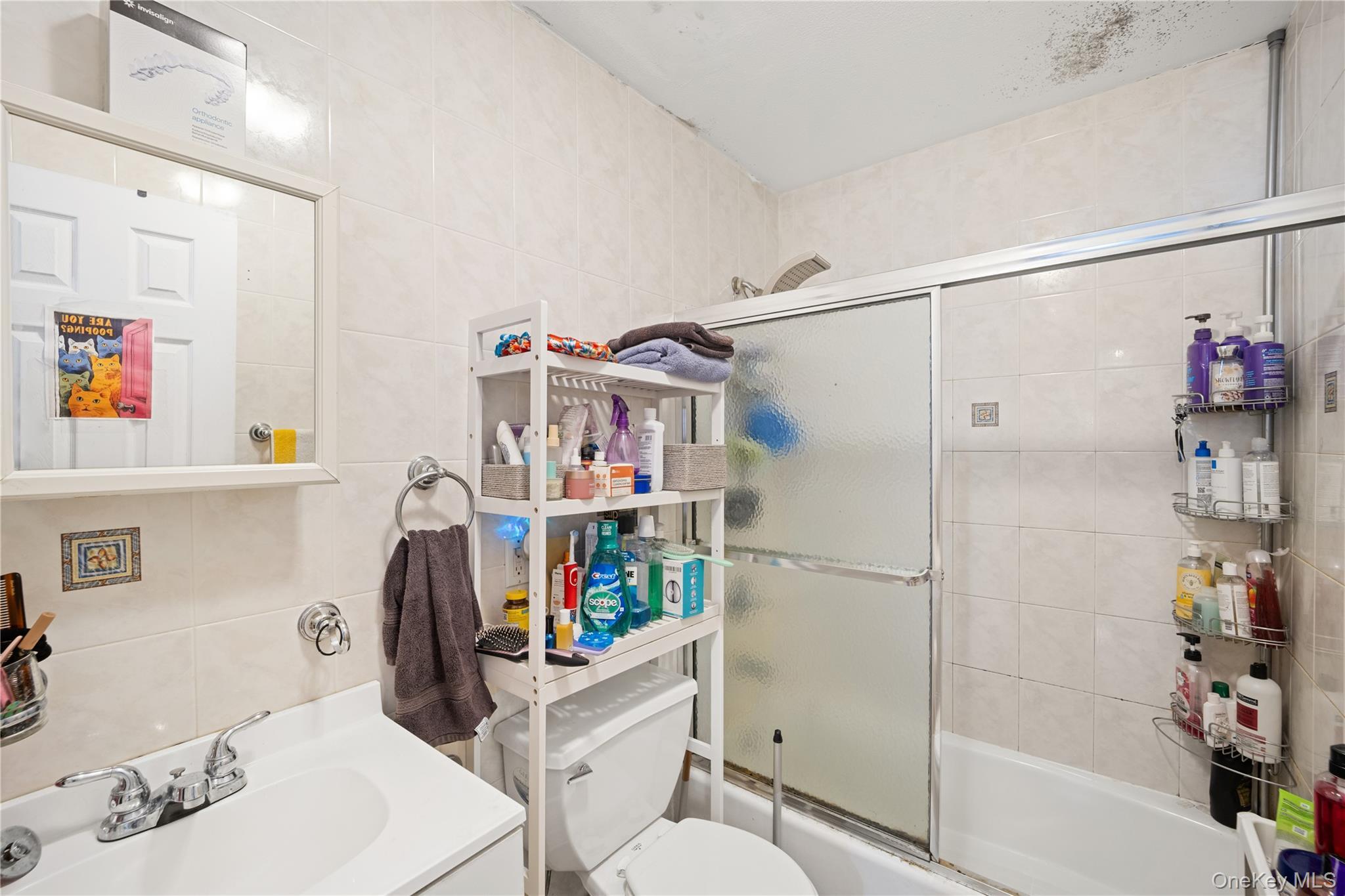 Single Family 30th Road Queens, NY 11103, MLS-1020381-15
