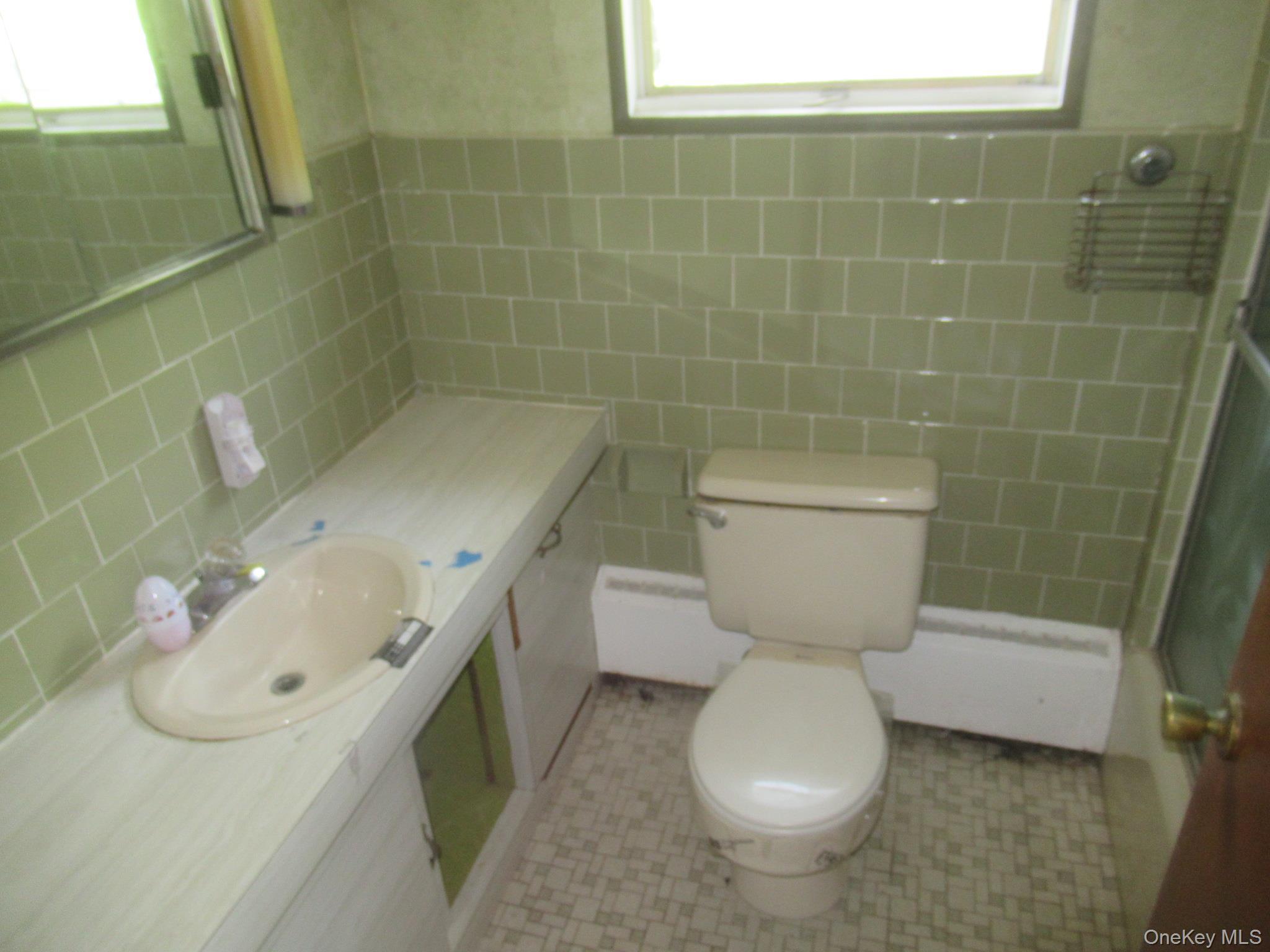 Single Family Bonnell Street Orange County, NY 10940, MLS-1020401-8