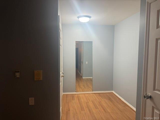 Apartment Park Place  Brooklyn, NY 11233, MLS-1020418-11