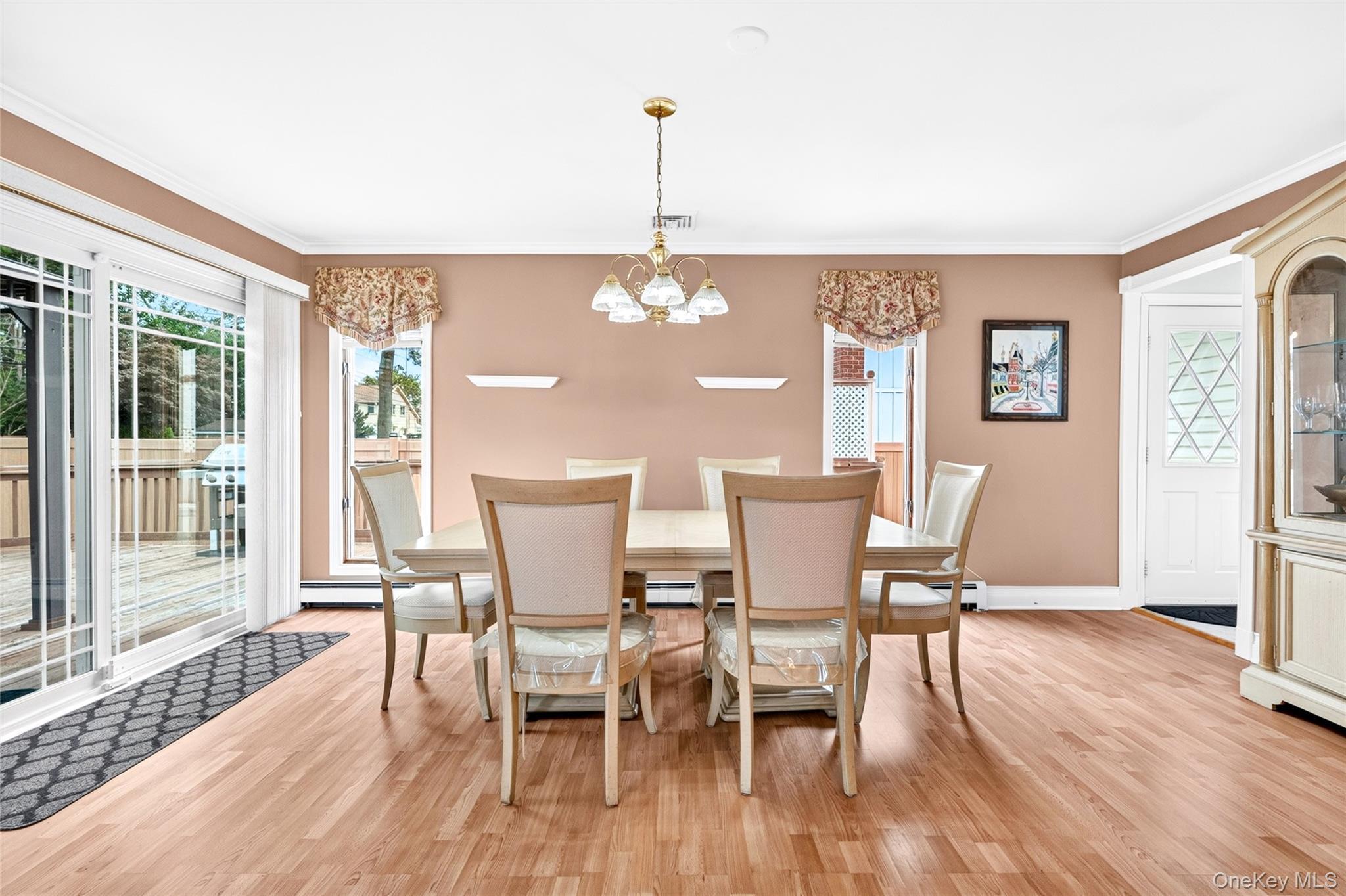 Single Family Briarwood Road Nassau County, NY 11758, MLS-1020446-10