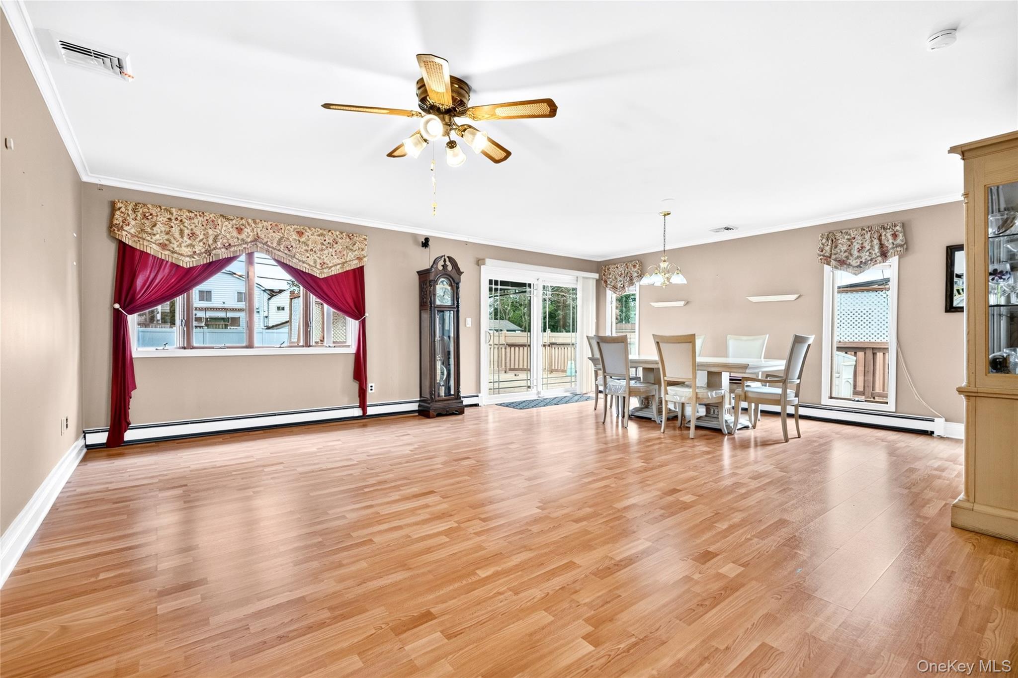 Single Family Briarwood Road Nassau County, NY 11758, MLS-1020446-12