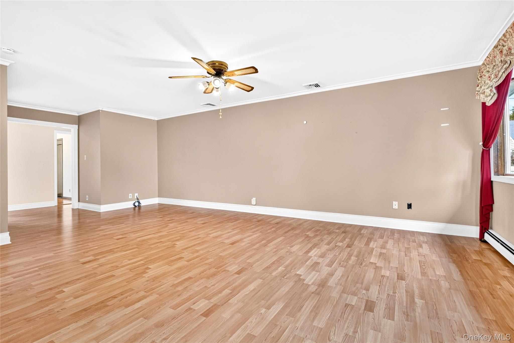 Single Family Briarwood Road Nassau County, NY 11758, MLS-1020446-13