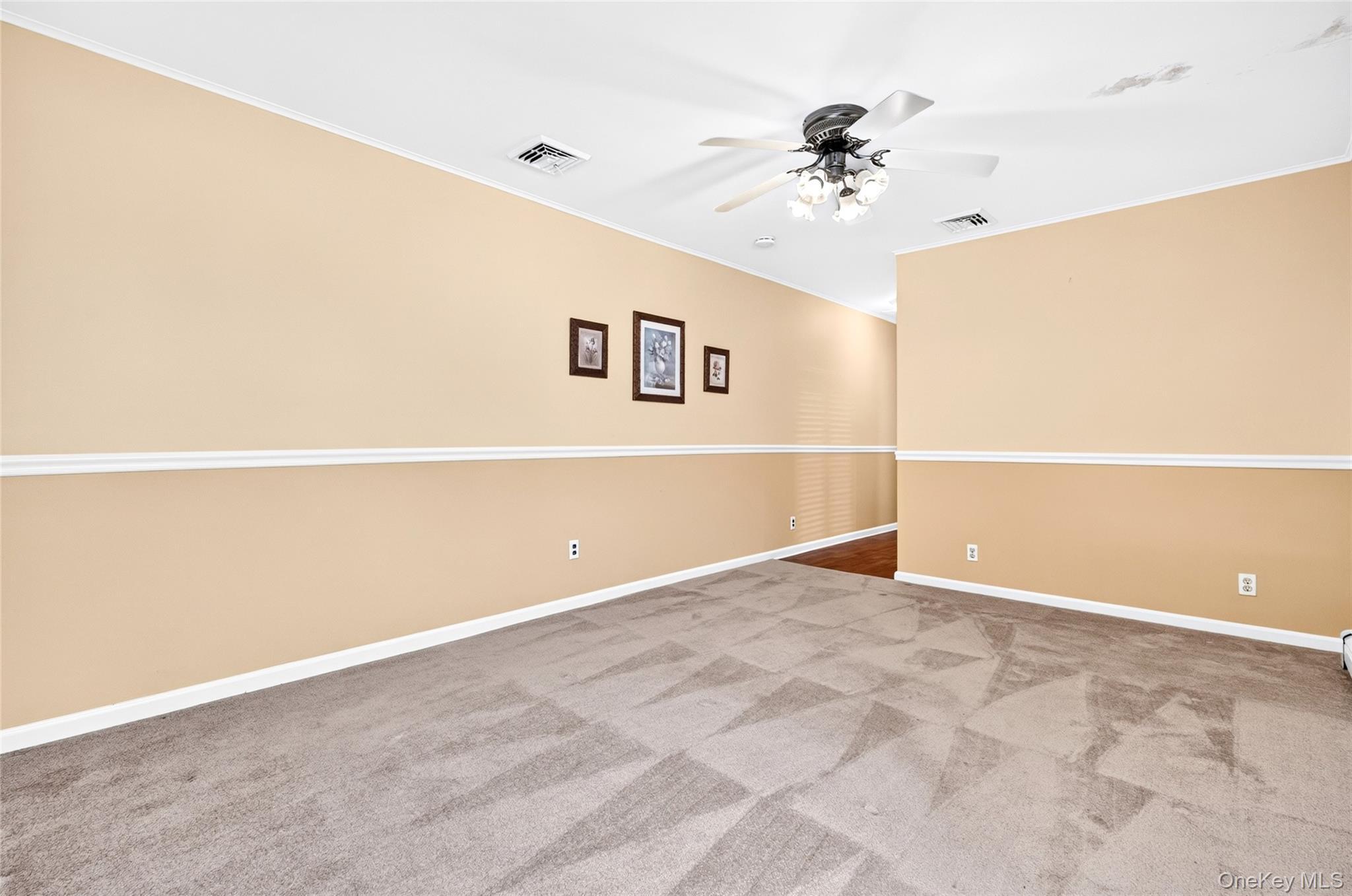 Single Family Briarwood Road Nassau County, NY 11758, MLS-1020446-20