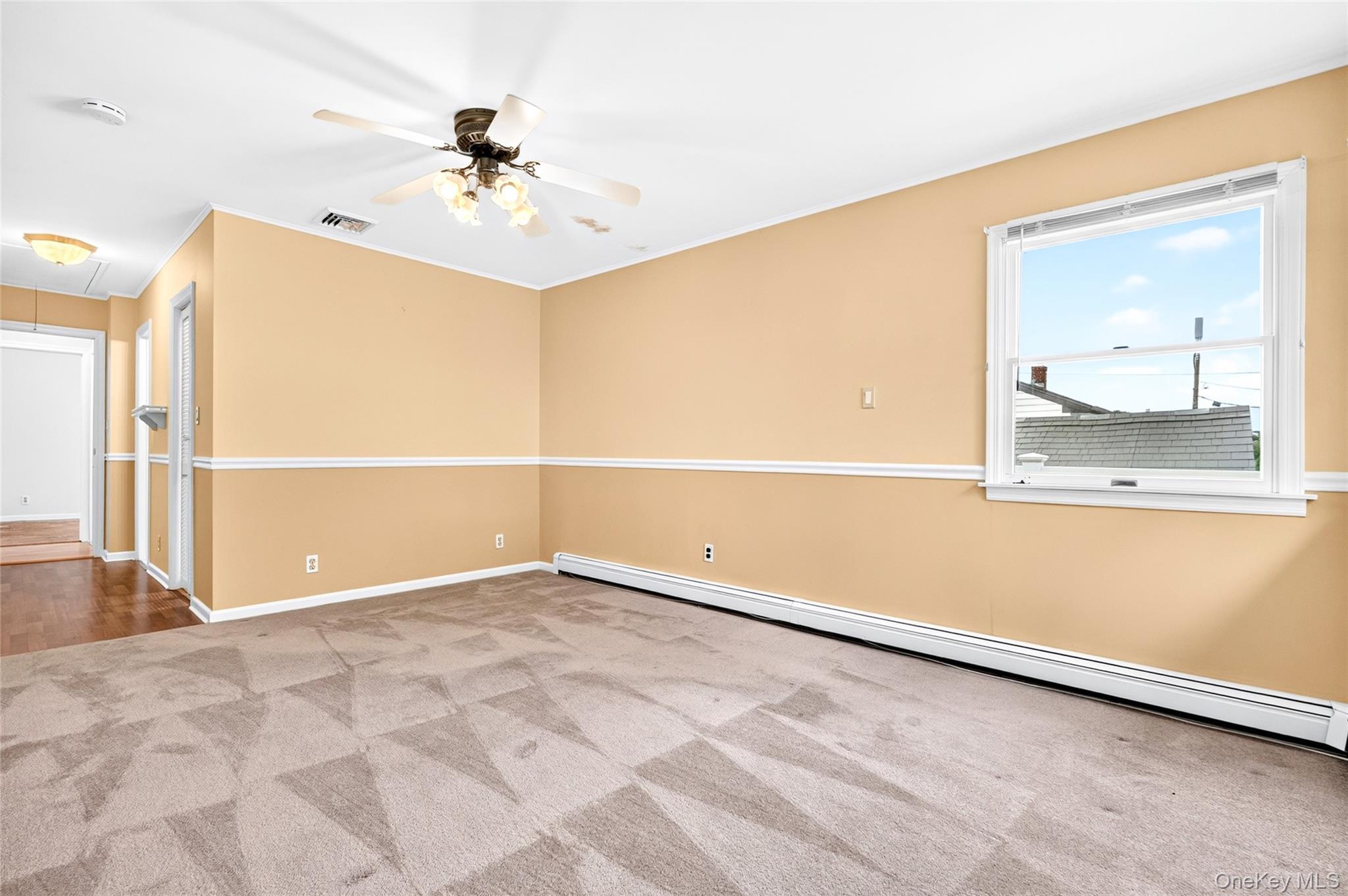 Single Family Briarwood Road Nassau County, NY 11758, MLS-1020446-21