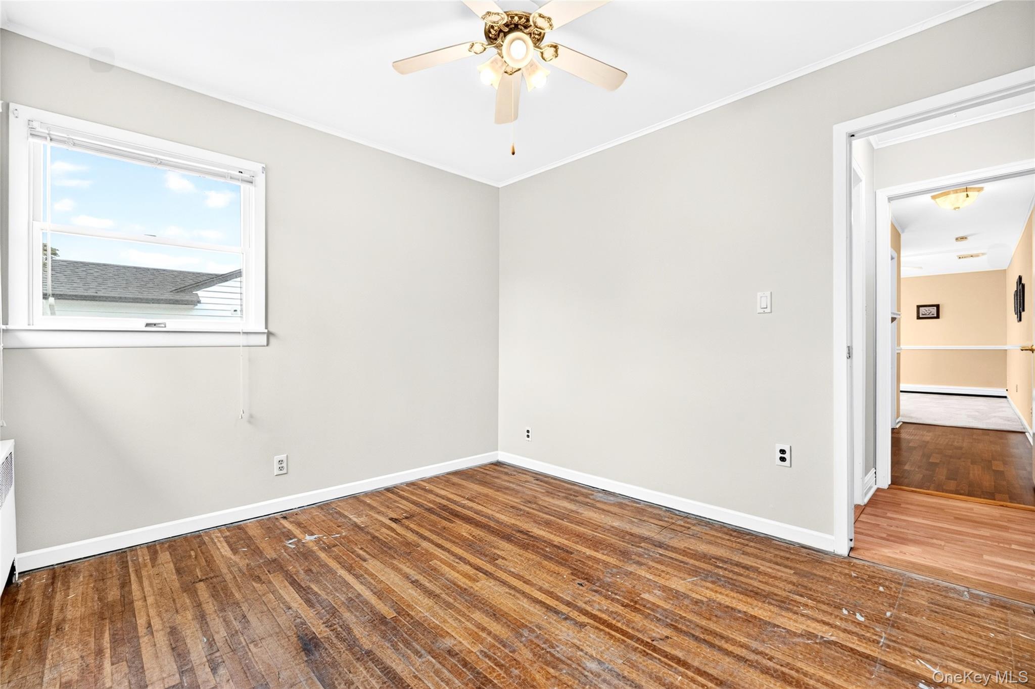 Single Family Briarwood Road Nassau County, NY 11758, MLS-1020446-26
