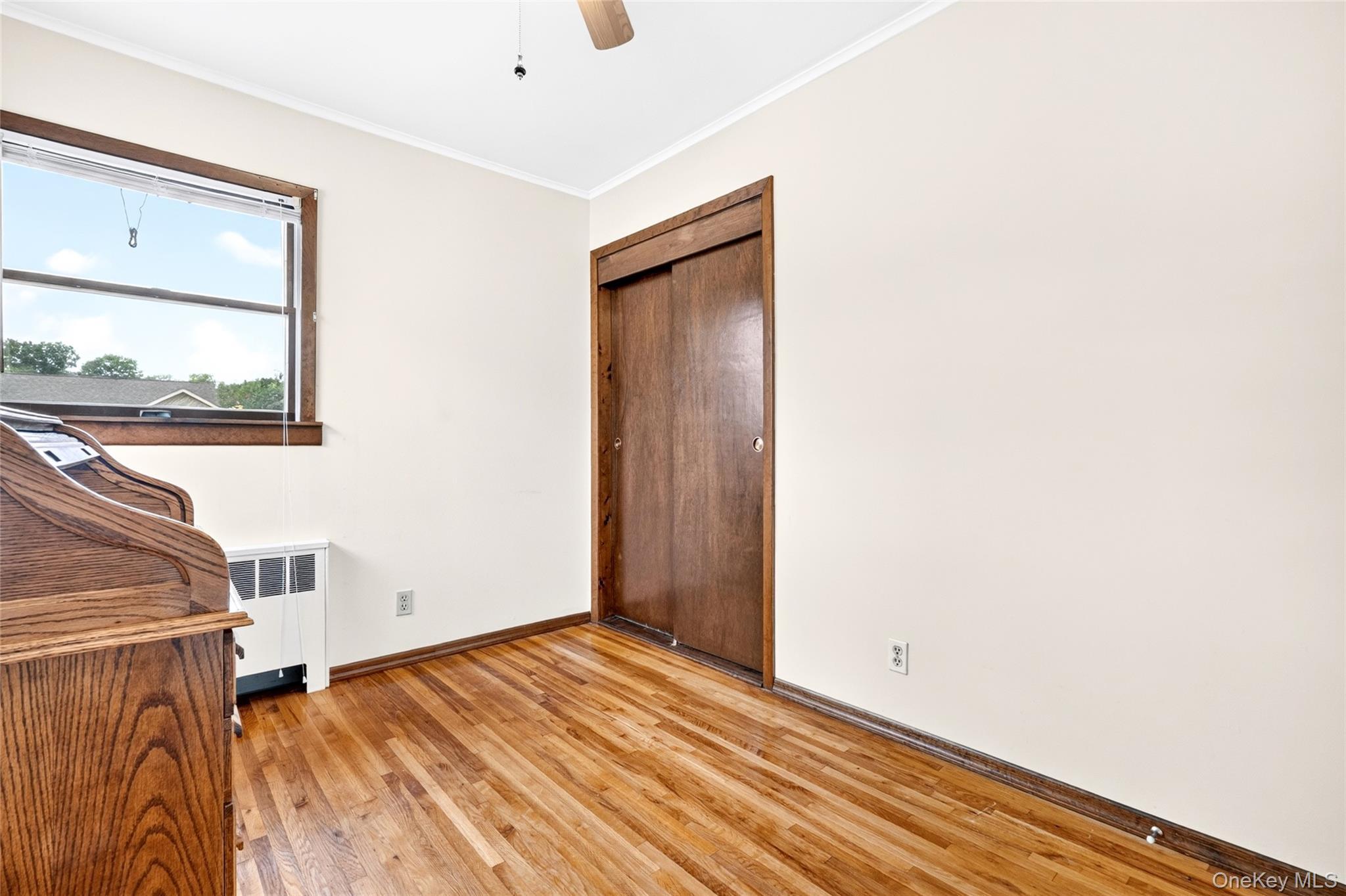 Single Family Briarwood Road Nassau County, NY 11758, MLS-1020446-29