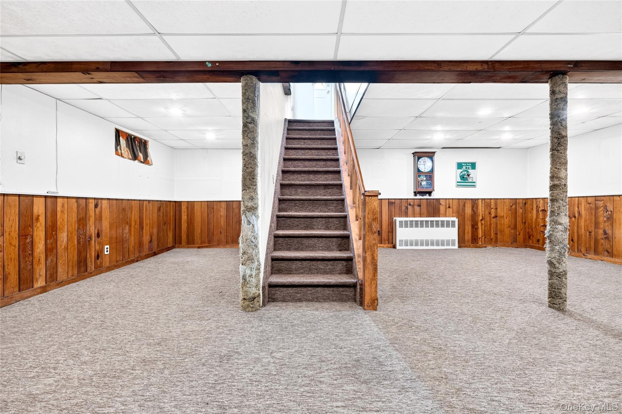 Single Family Briarwood Road Nassau County, NY 11758, MLS-1020446-33