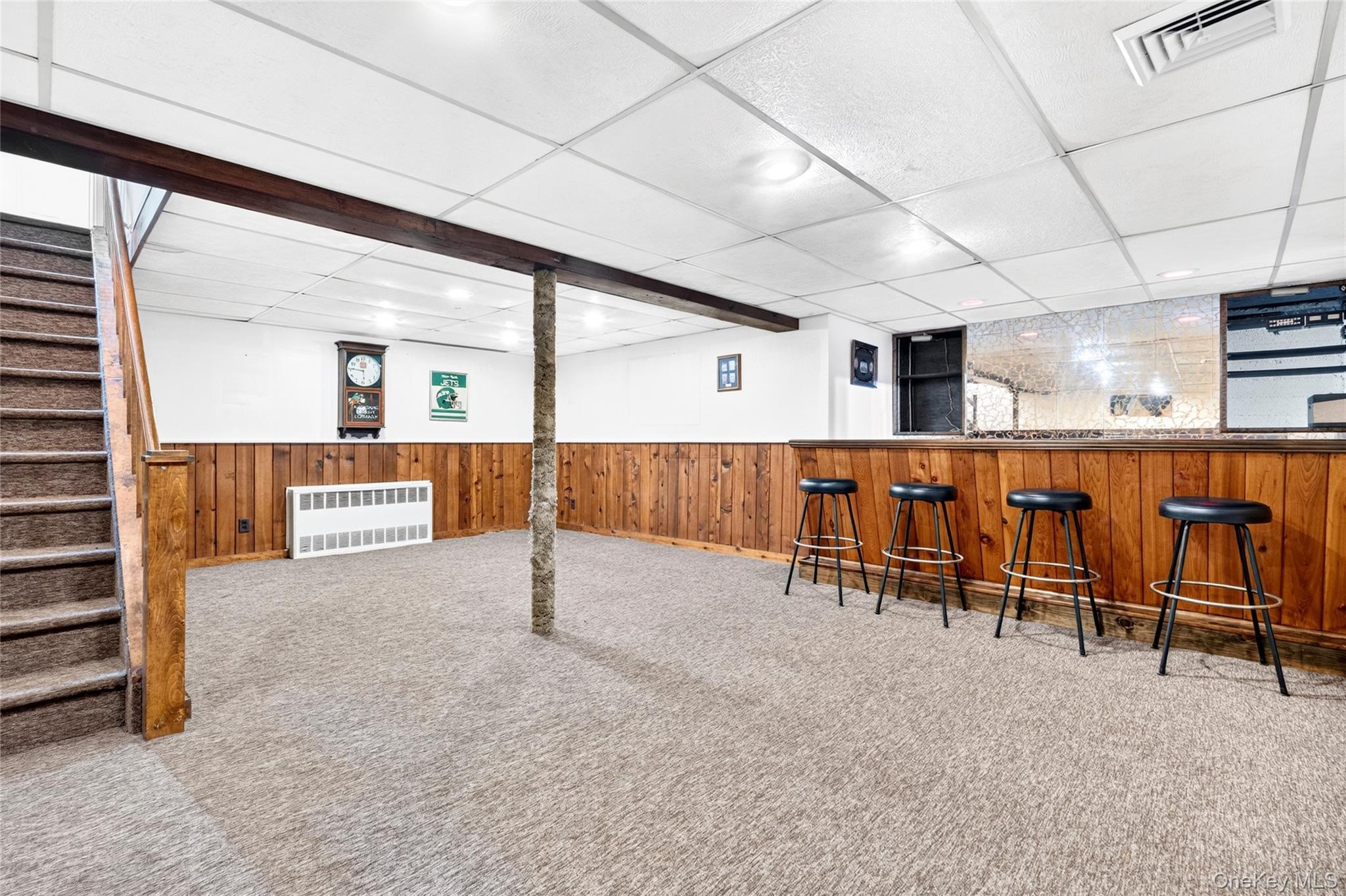 Single Family Briarwood Road Nassau County, NY 11758, MLS-1020446-34