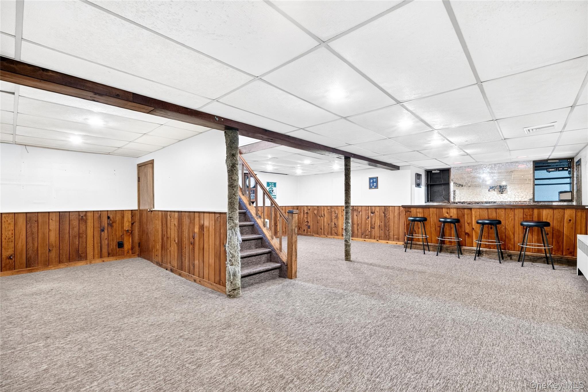 Single Family Briarwood Road Nassau County, NY 11758, MLS-1020446-38