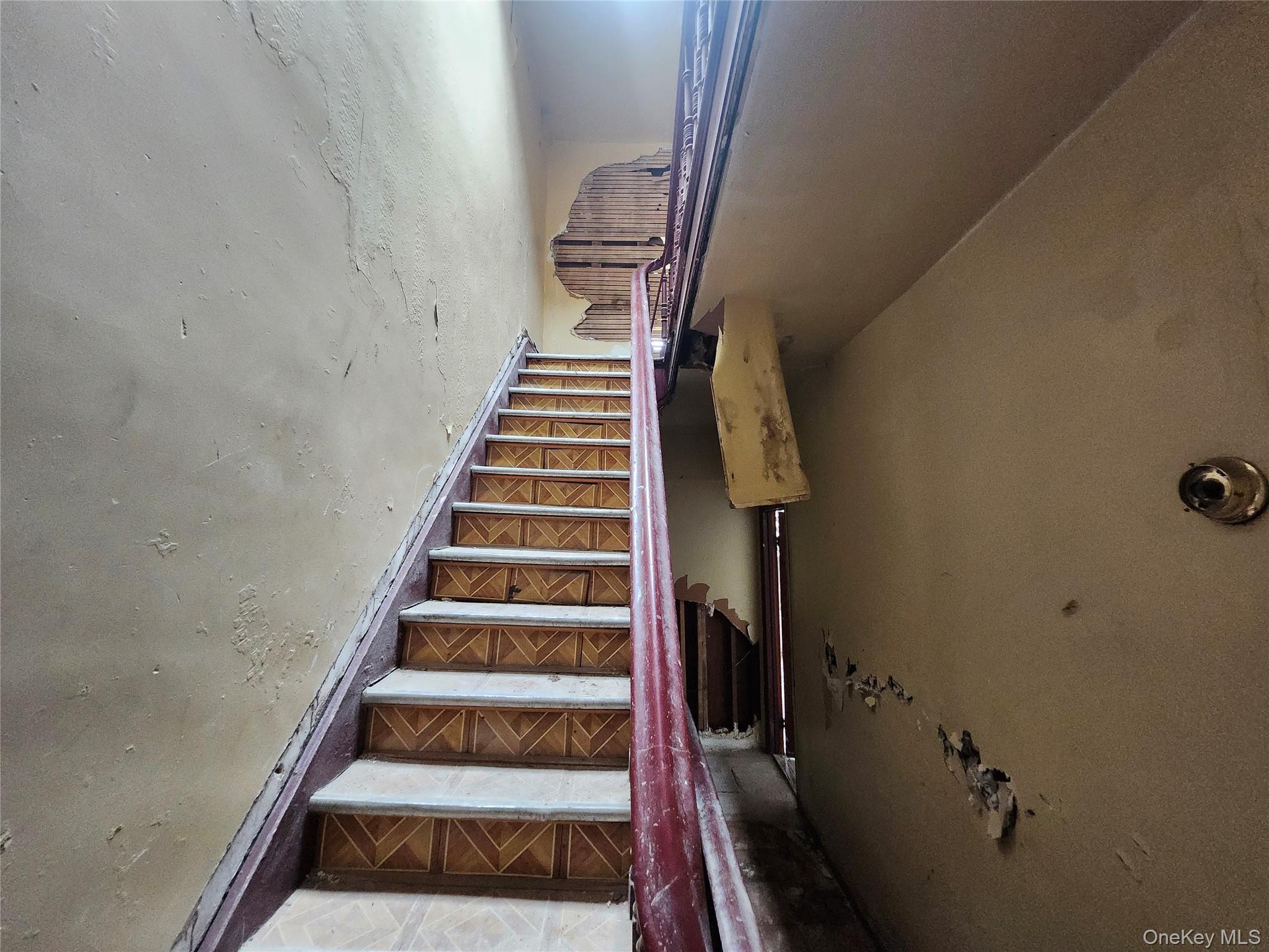Single Family Greene Avenue  Brooklyn, NY 11221, MLS-1020522-17