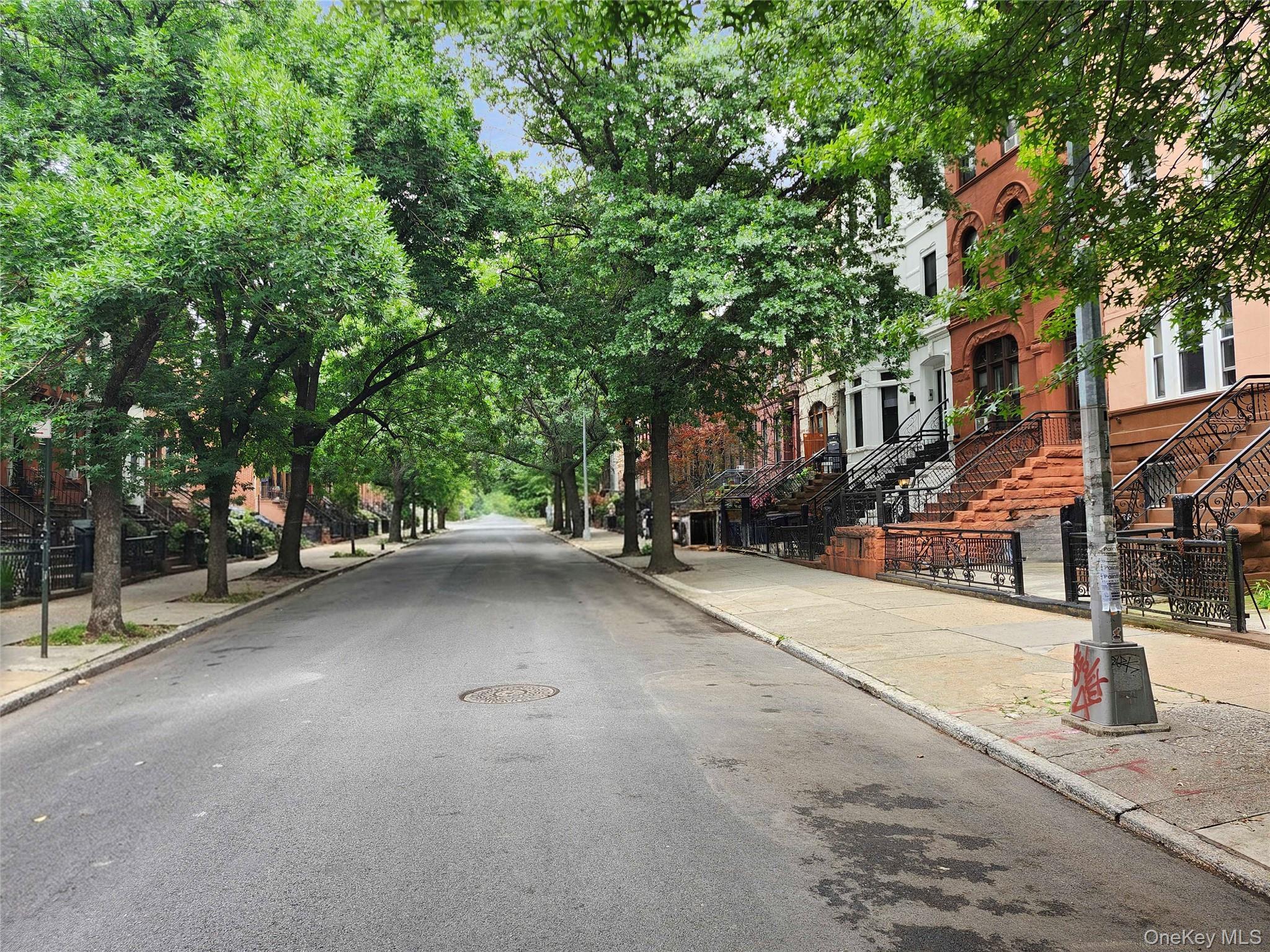 Single Family Greene Avenue  Brooklyn, NY 11221, MLS-1020522-37