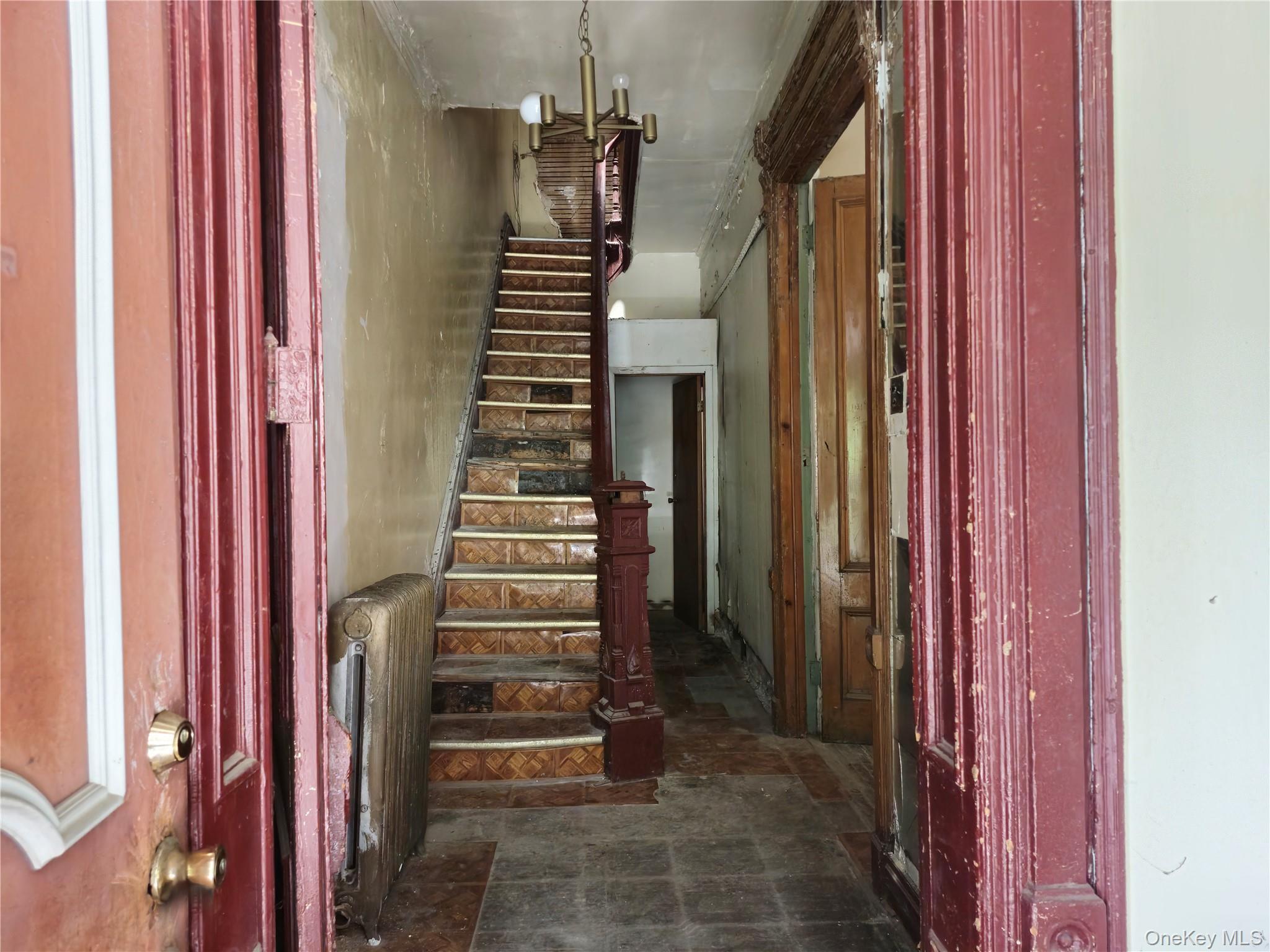 Single Family Greene Avenue  Brooklyn, NY 11221, MLS-1020522-5