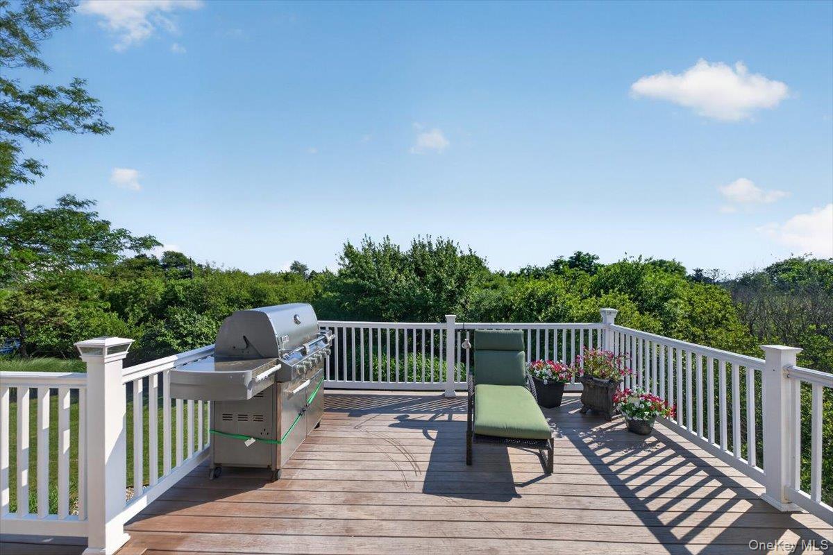 Single Family Clinton Avenue  Suffolk County, NY 11772, MLS-1020526-10