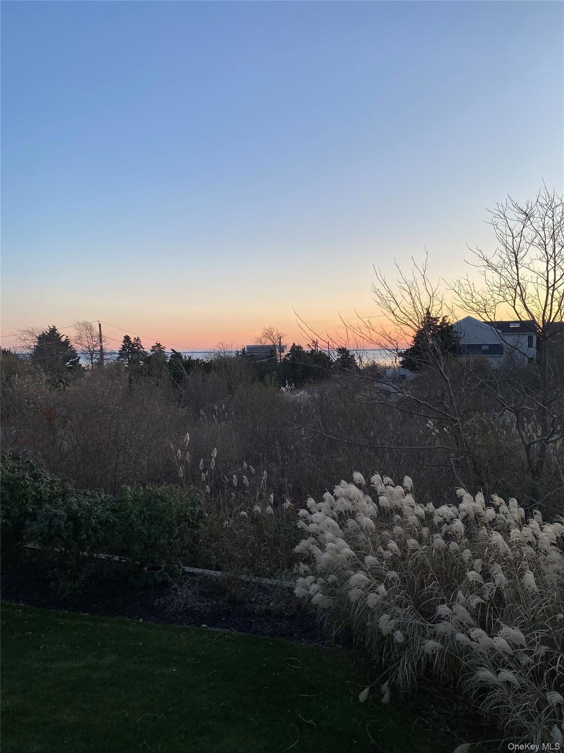 Single Family Clinton Avenue  Suffolk County, NY 11772, MLS-1020526-31