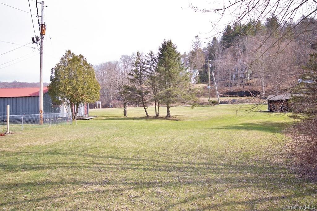 Single Family Meadow Street Sullivan County, NY 12758, MLS-1020559-12