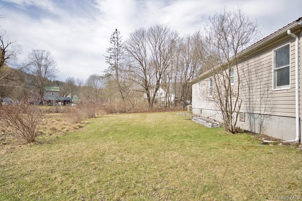 Single Family Meadow Street Sullivan County, NY 12758, MLS-1020559-13