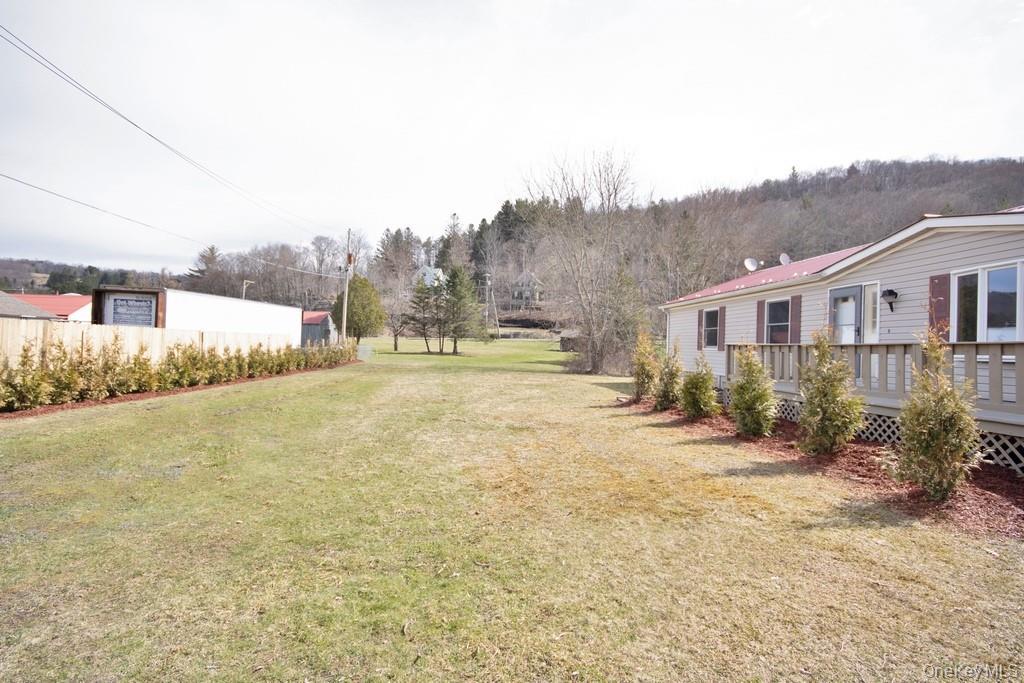 Single Family Meadow Street Sullivan County, NY 12758, MLS-1020559-5