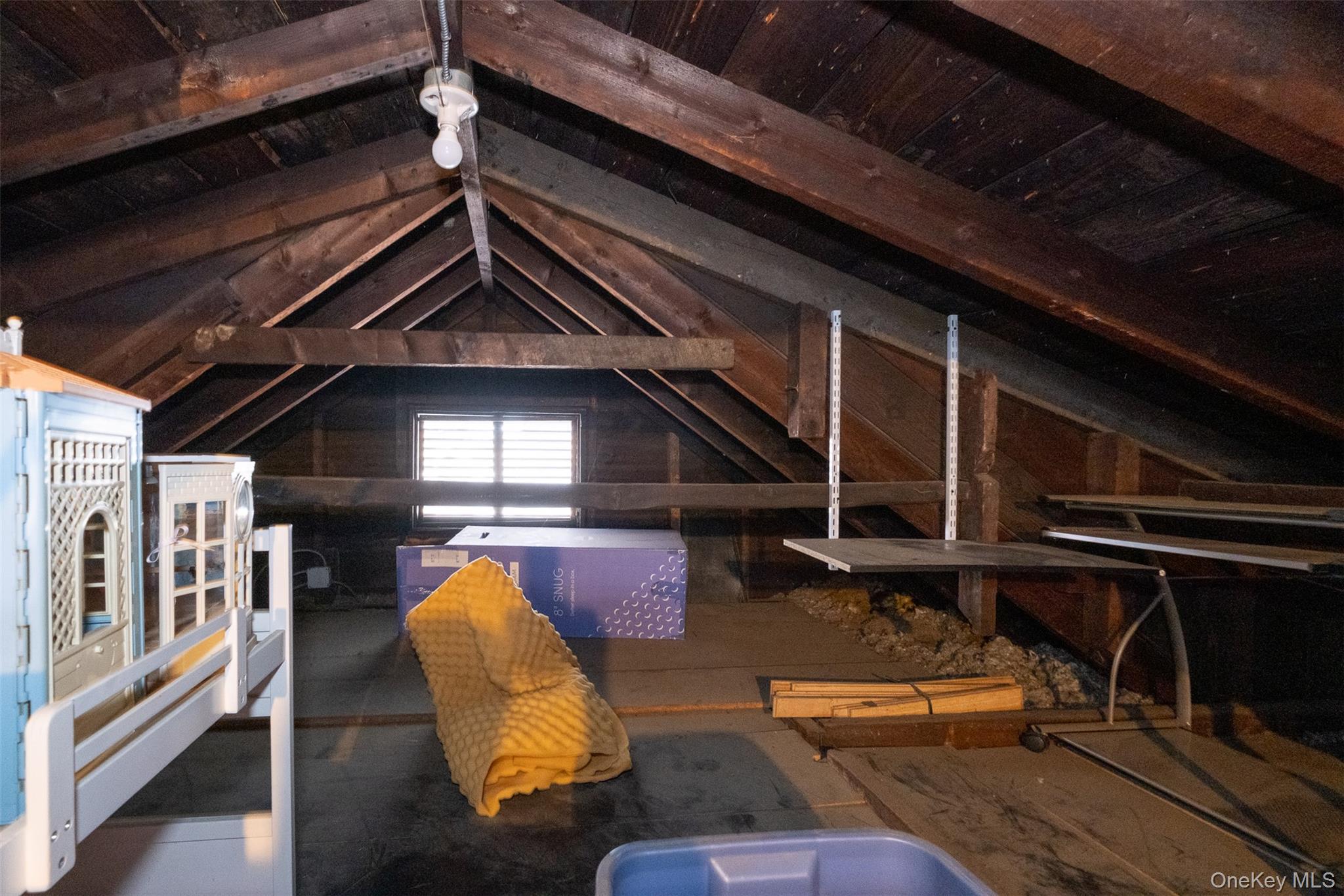 Single Family Minnieford Avenue Bronx, NY 10464, MLS-1020571-25