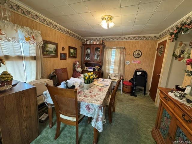 Single Family Forest Avenue Orange County, NY 10940, MLS-1020584-17