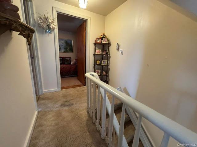 Single Family Forest Avenue Orange County, NY 10940, MLS-1020584-22