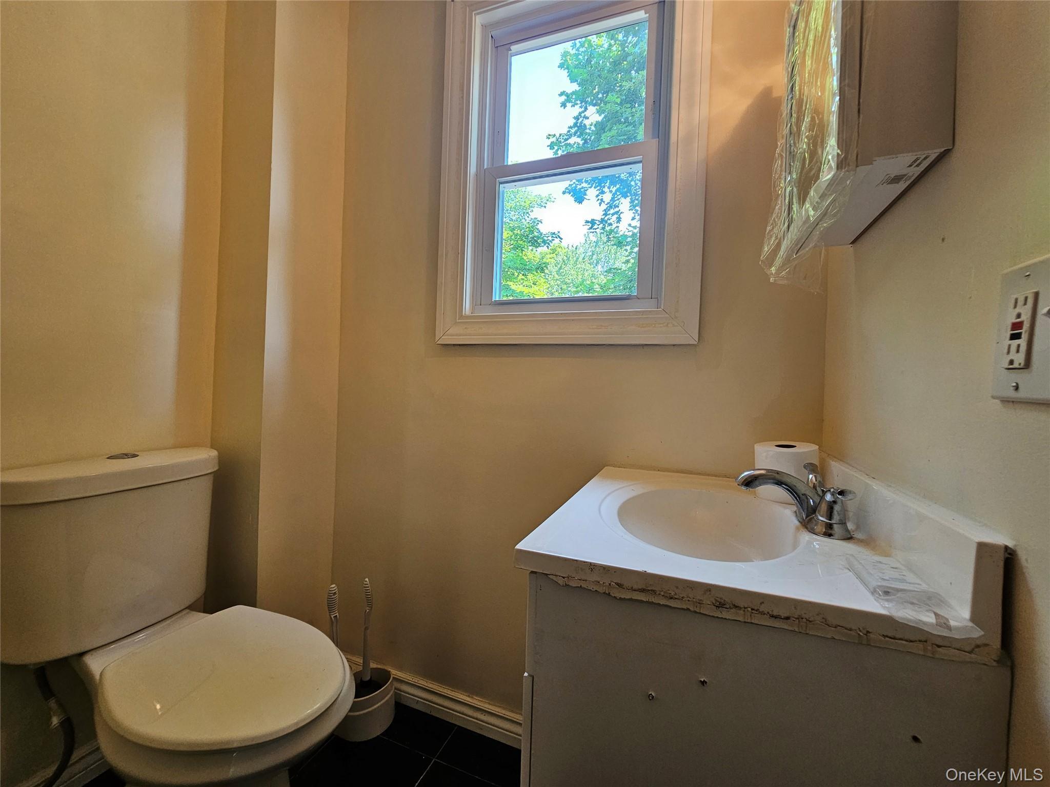 Single Family Clinton Avenue Sullivan County, NY 12701, MLS-1020587-23