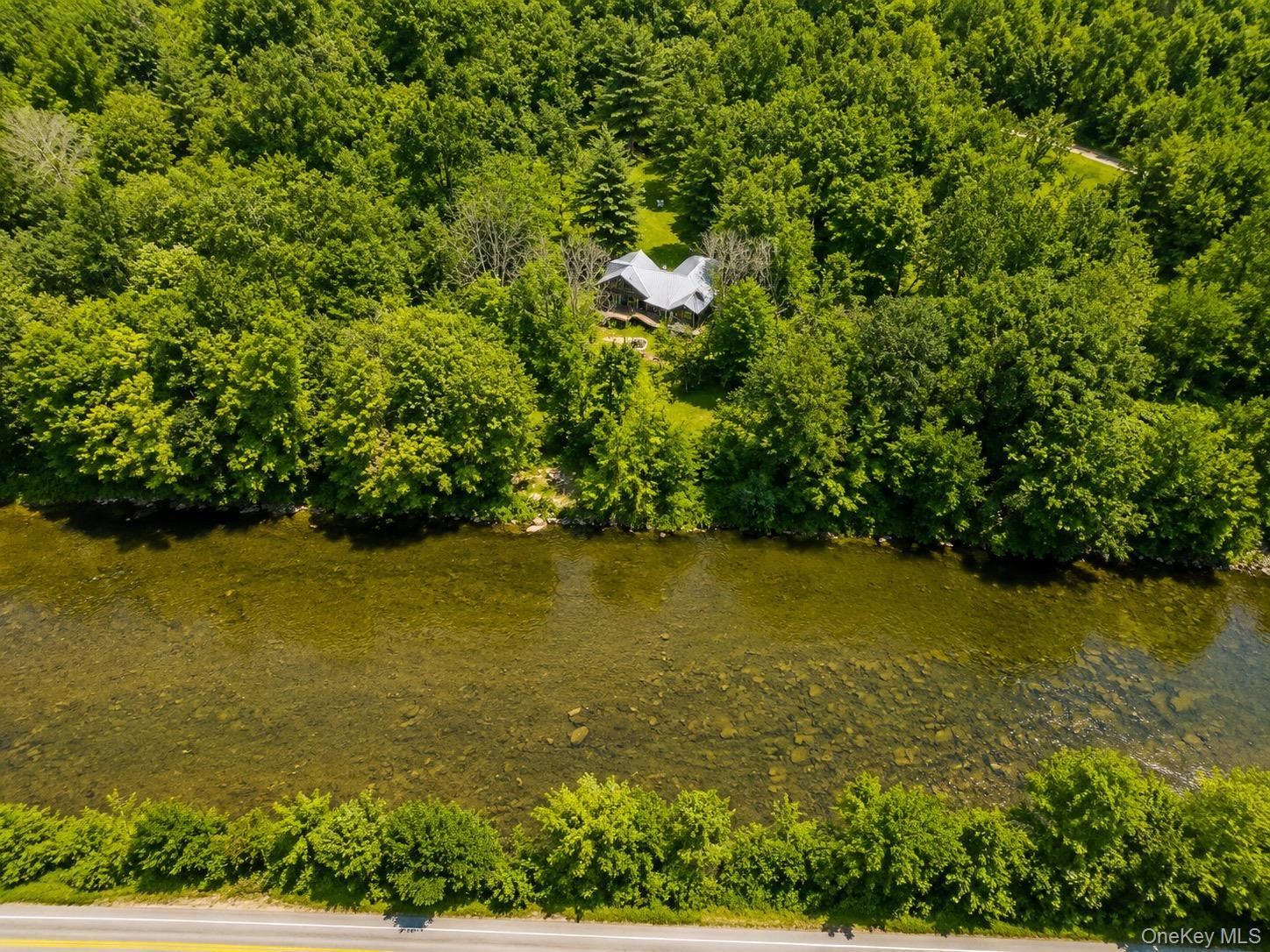 Single Family Mountain Pass  Delaware County, NY 13756, MLS-1020589-10