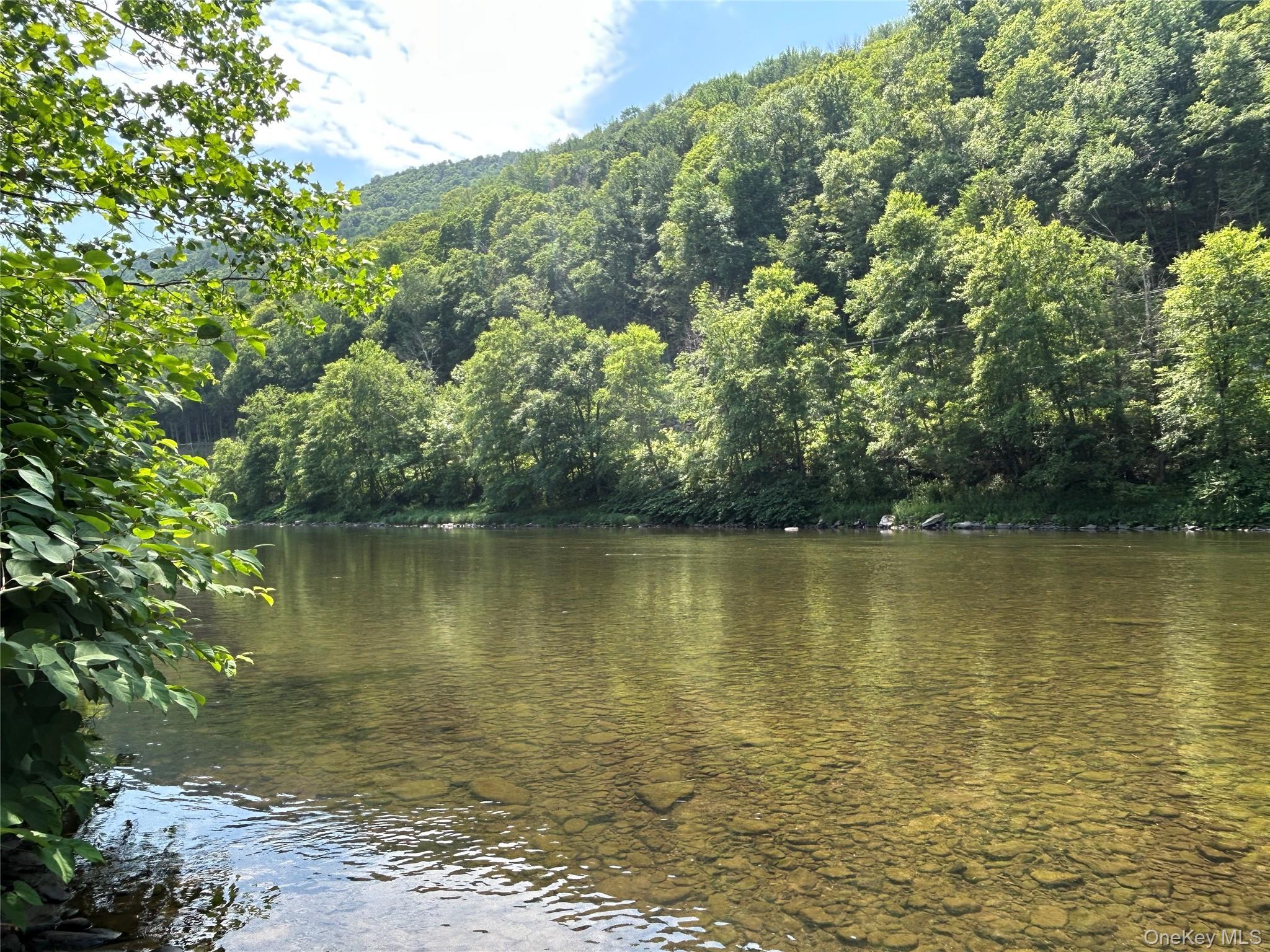 Single Family Mountain Pass  Delaware County, NY 13756, MLS-1020589-12