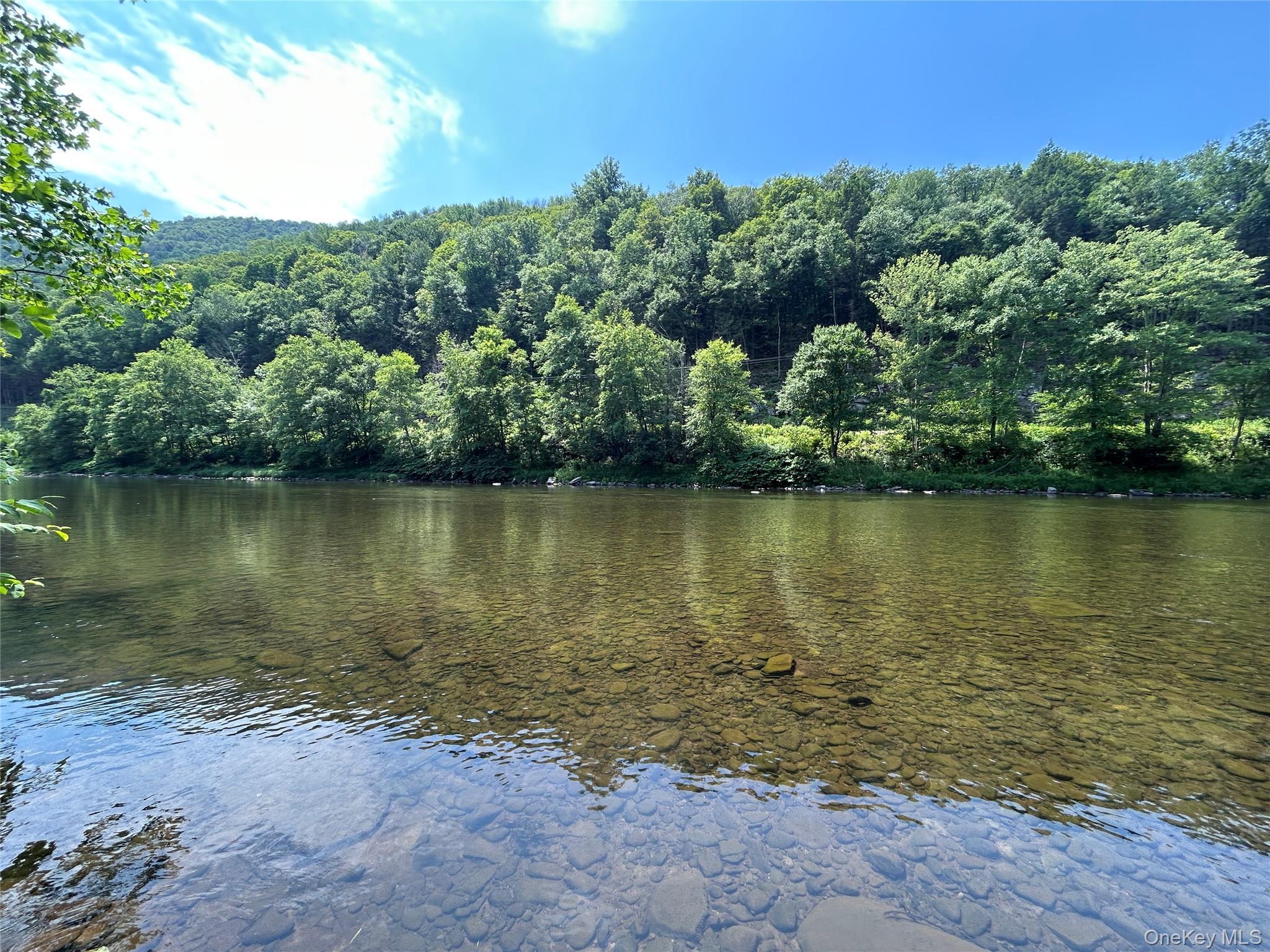 Single Family Mountain Pass  Delaware County, NY 13756, MLS-1020589-13