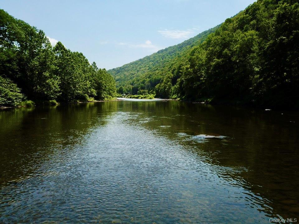 Single Family Mountain Pass  Delaware County, NY 13756, MLS-1020589-14