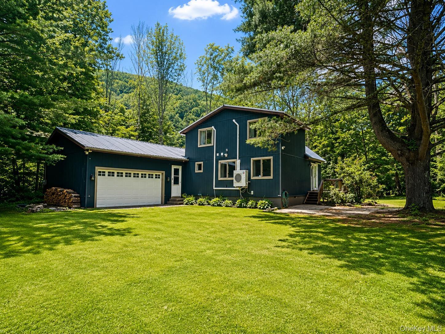 Single Family Mountain Pass  Delaware County, NY 13756, MLS-1020589-3