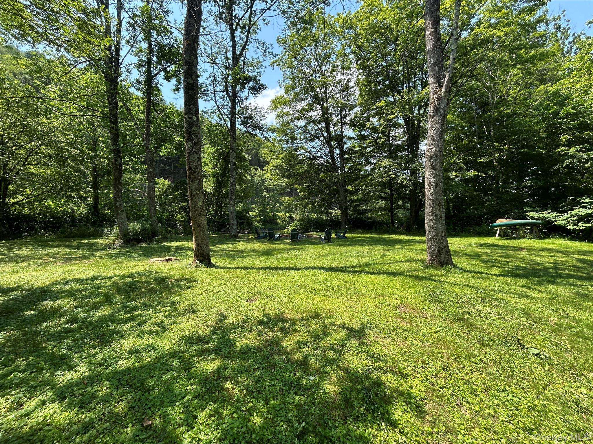Single Family Mountain Pass  Delaware County, NY 13756, MLS-1020589-7