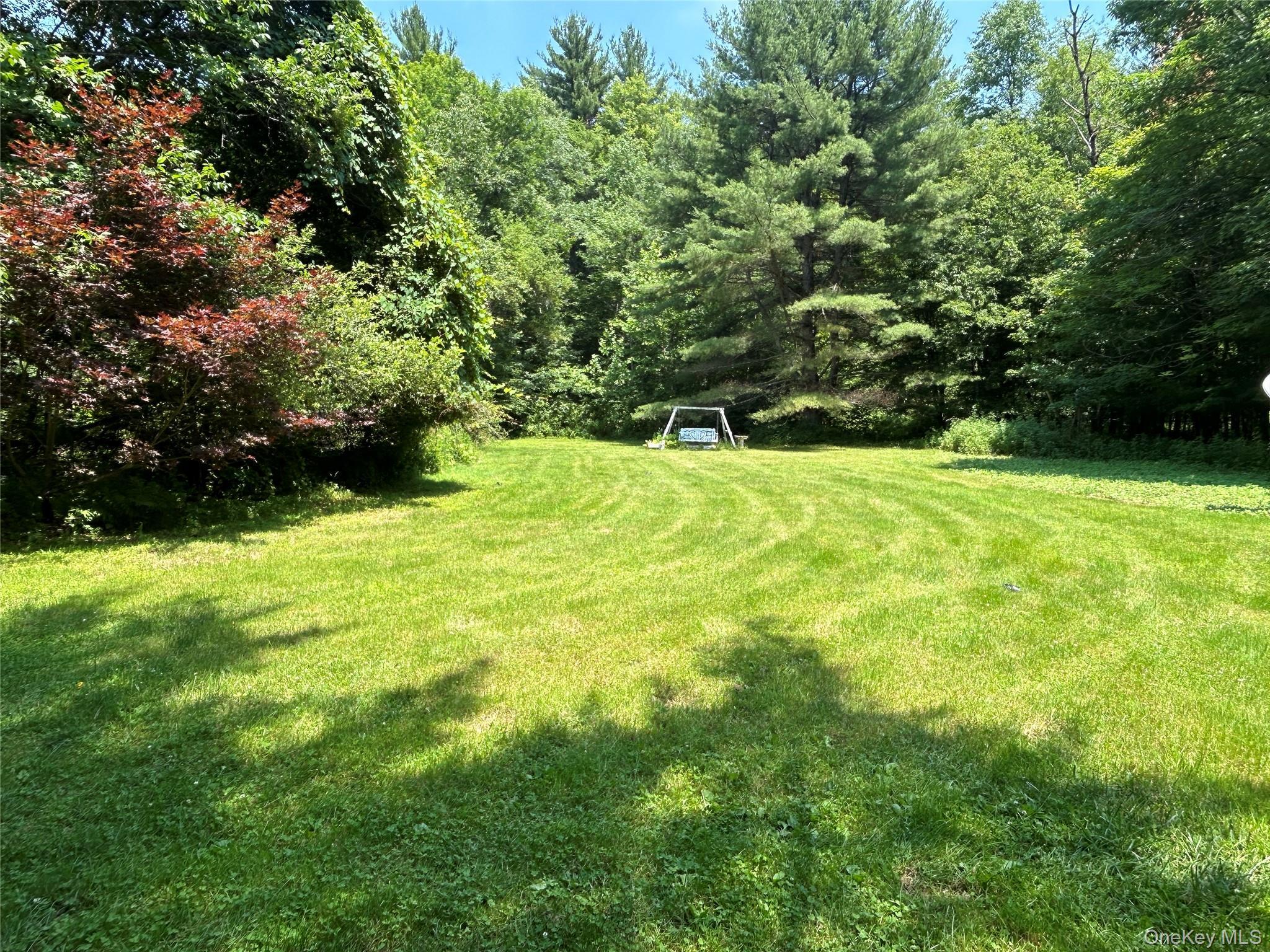 Single Family Mountain Pass  Delaware County, NY 13756, MLS-1020589-8