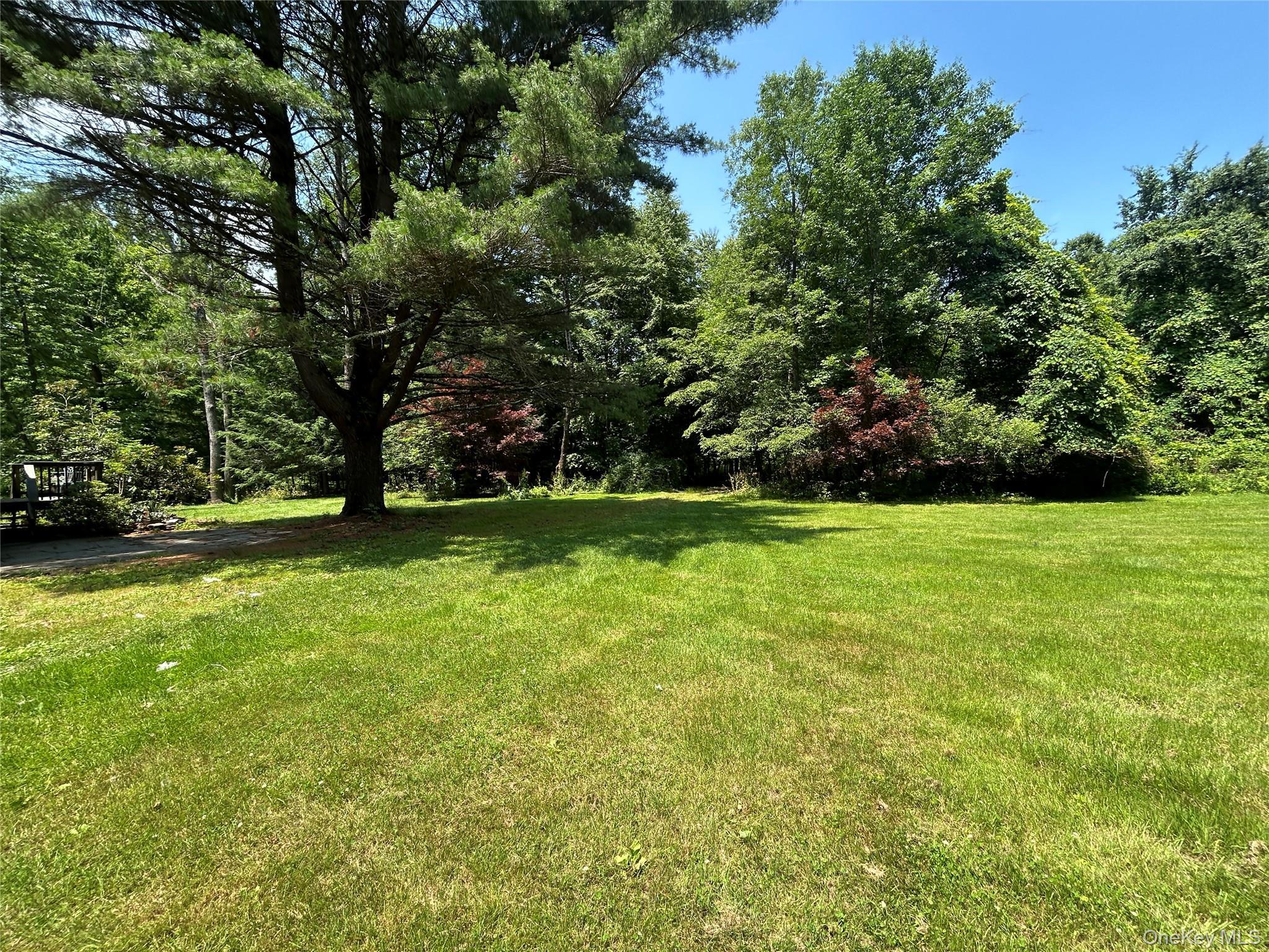 Single Family Mountain Pass  Delaware County, NY 13756, MLS-1020589-9