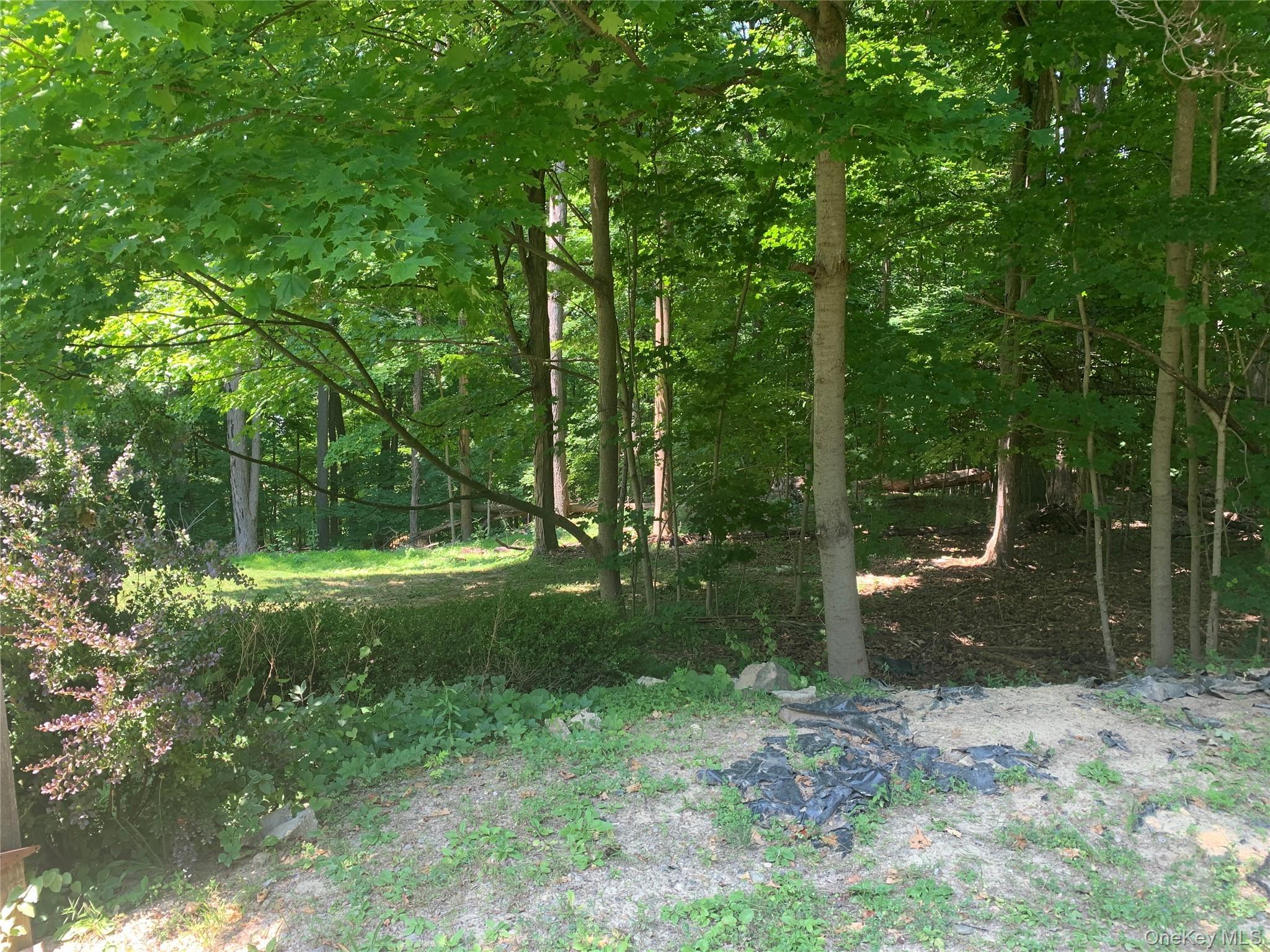 Single Family Dogwood Hill Road  Dutchess County, NY 12590, MLS-1020595-48