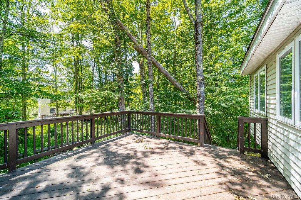 Single Family Racine Court  Sullivan County, NY 12701, MLS-1020601-23